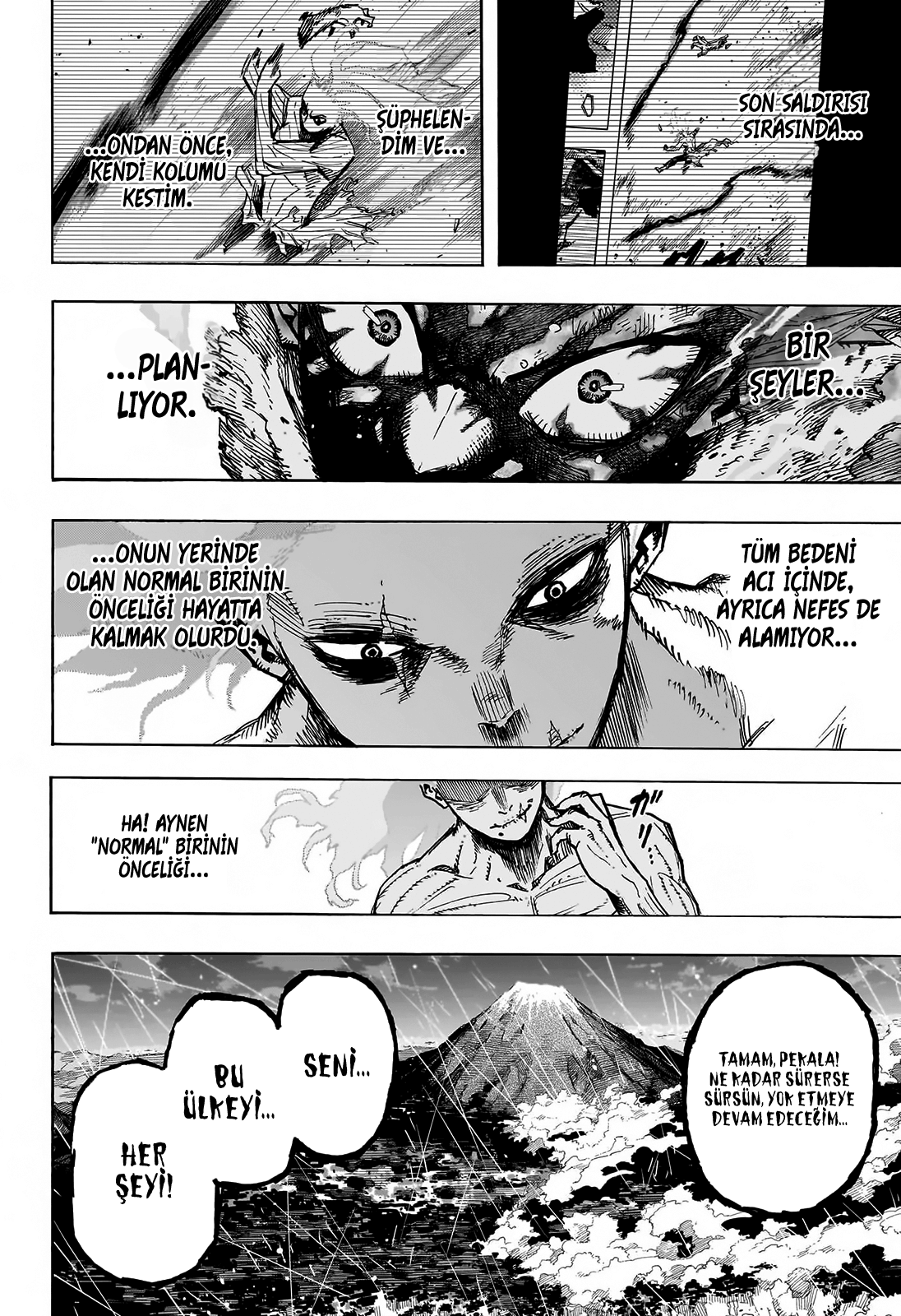 Read Boku no Hero Academia TR Manga Online