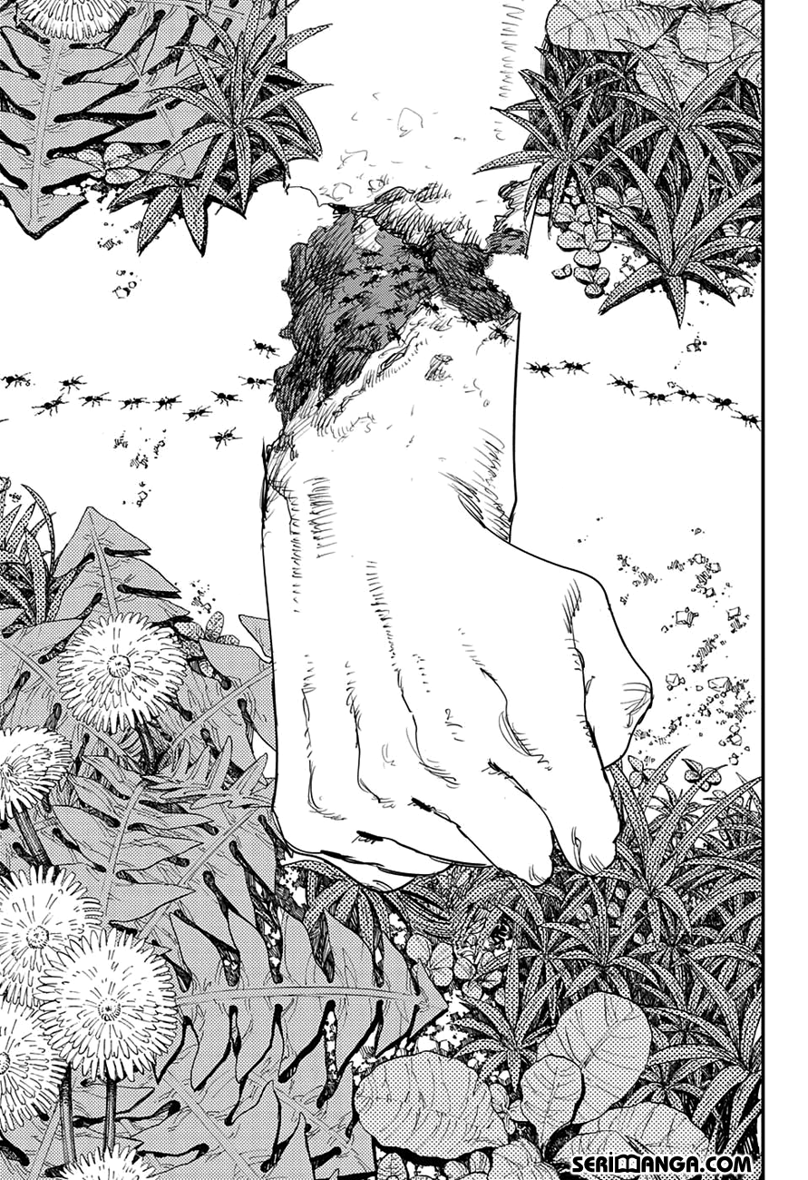 Read Chainsaw Man TR Manga Online