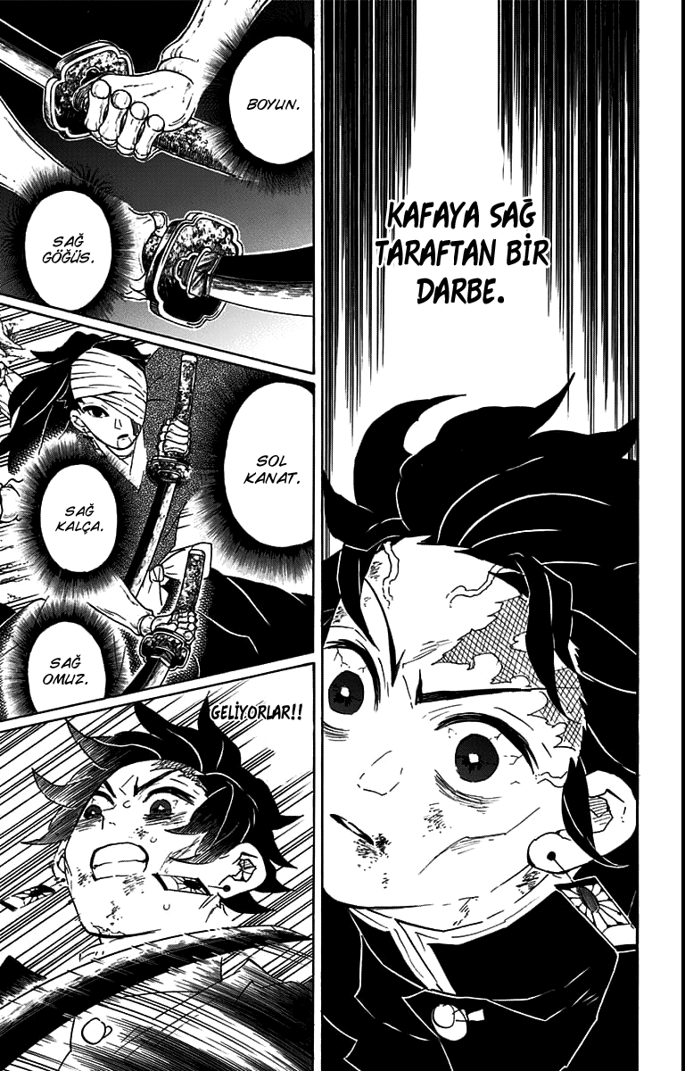 Read Kimetsu no Yaiba TR Manga Online