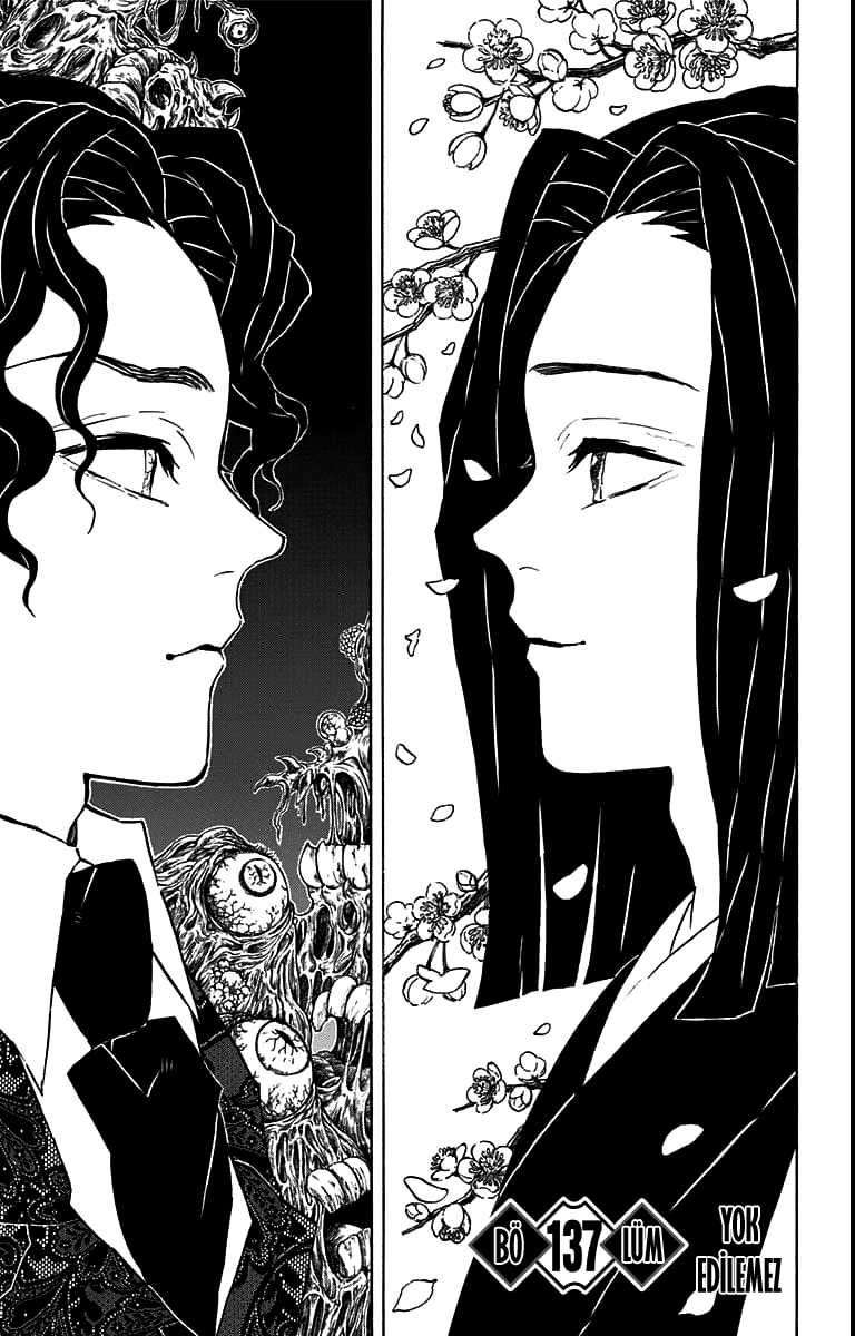 Read Kimetsu no Yaiba TR Manga Online