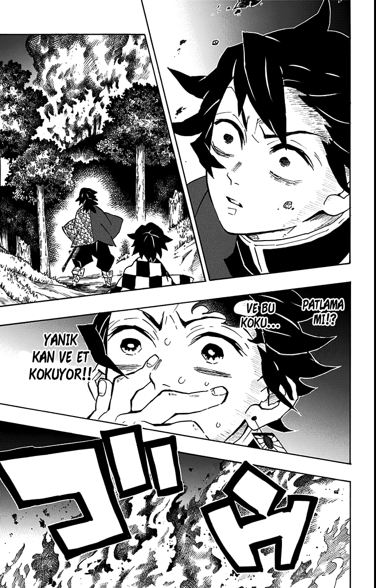 Read Kimetsu no Yaiba TR Manga Online