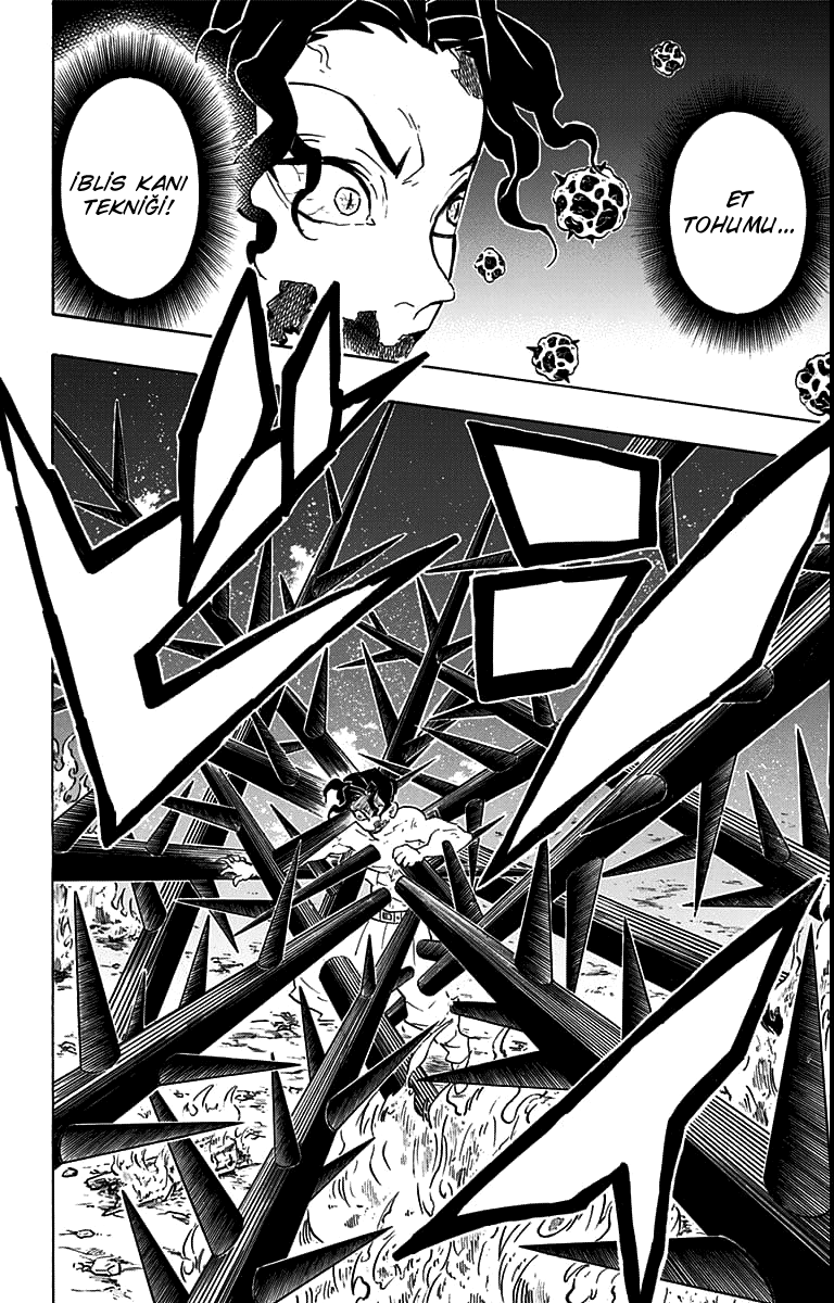 Read Kimetsu no Yaiba TR Manga Online