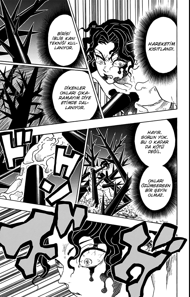 Read Kimetsu no Yaiba TR Manga Online