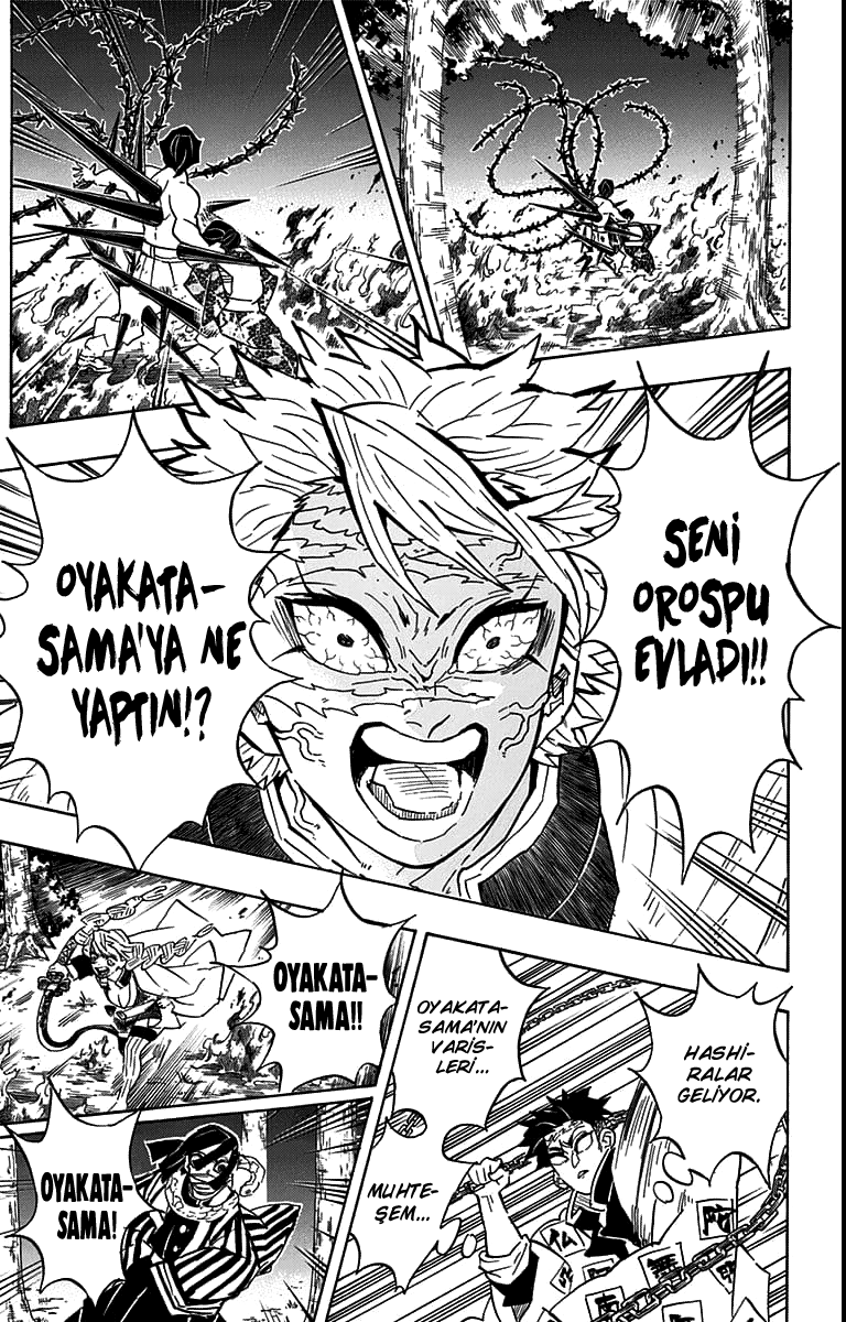 Read Kimetsu no Yaiba TR Manga Online