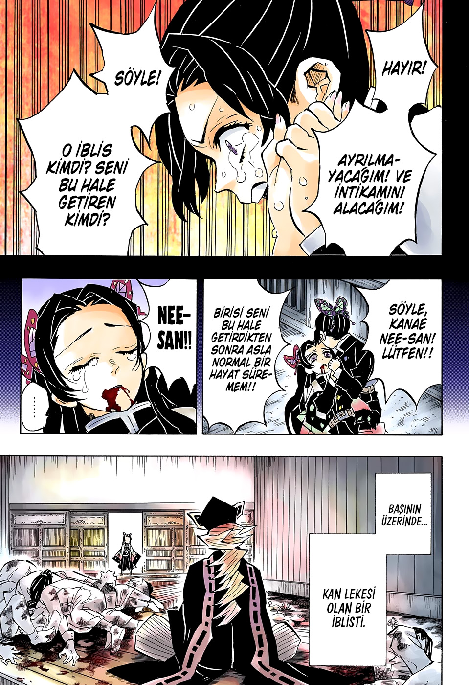 Read Kimetsu no Yaiba TR Manga Online