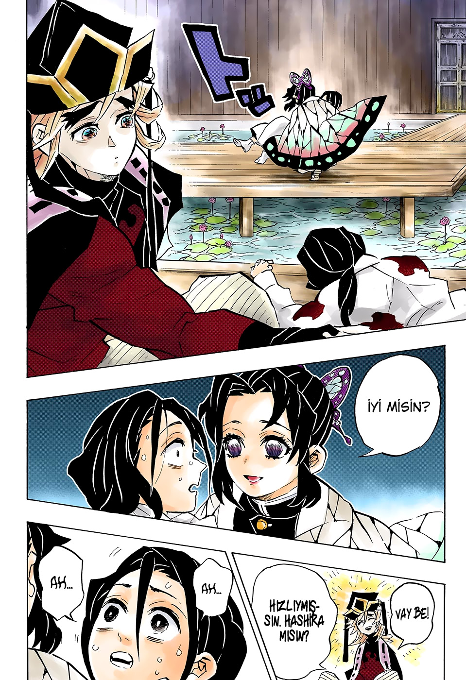 Read Kimetsu no Yaiba TR Manga Online