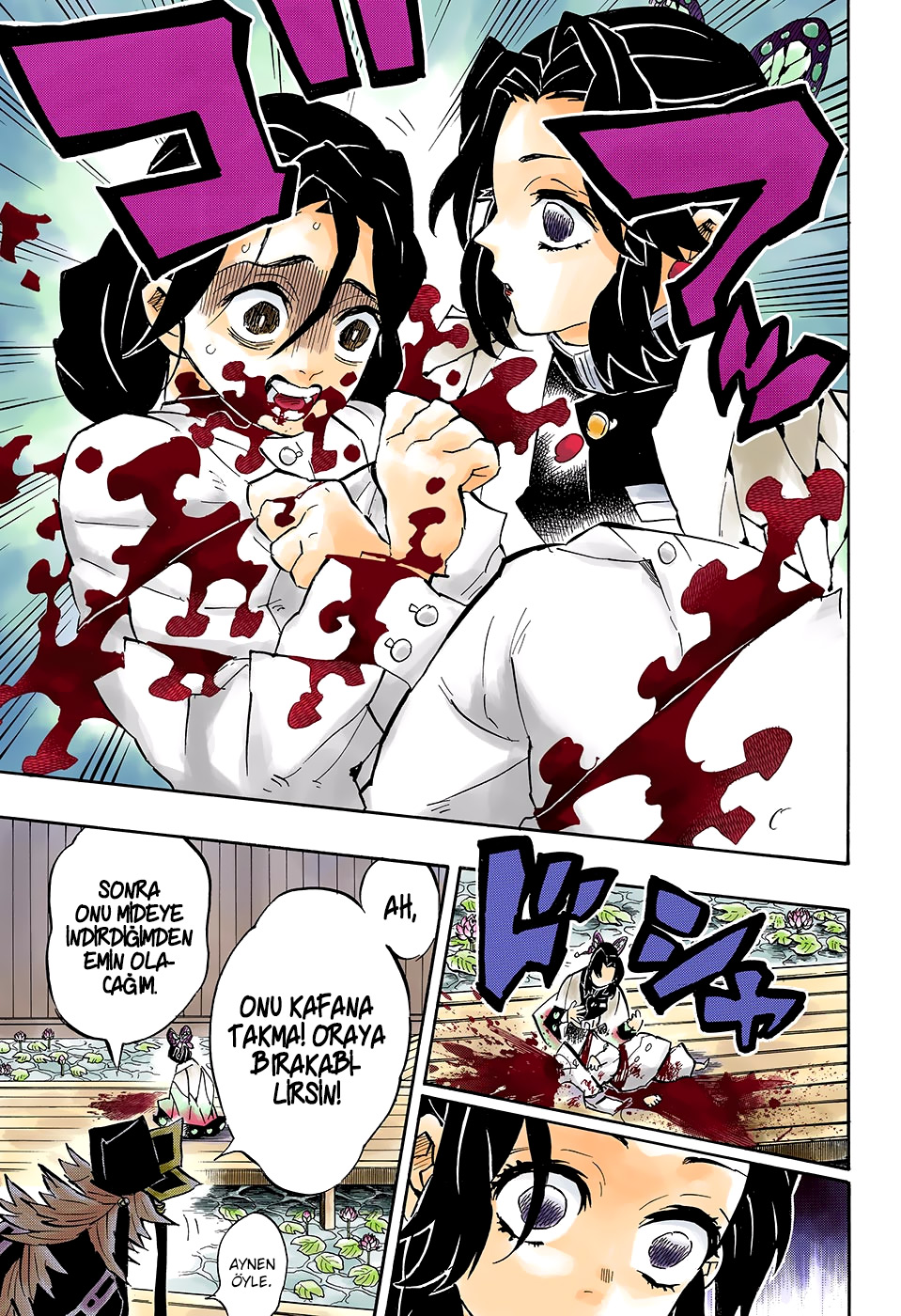Read Kimetsu no Yaiba TR Manga Online