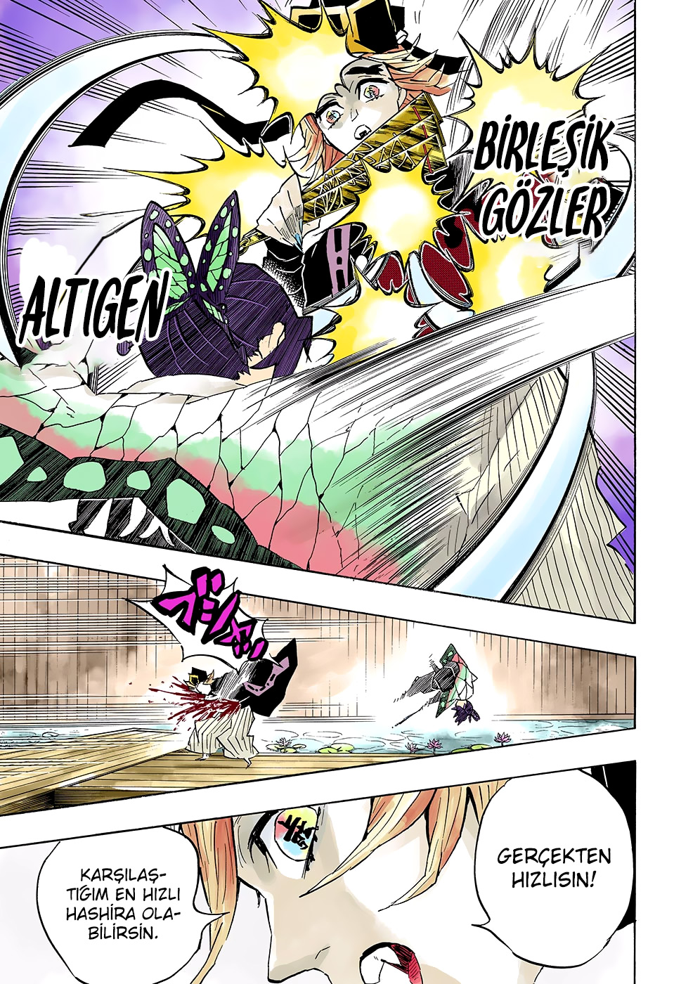 Read Kimetsu no Yaiba TR Manga Online