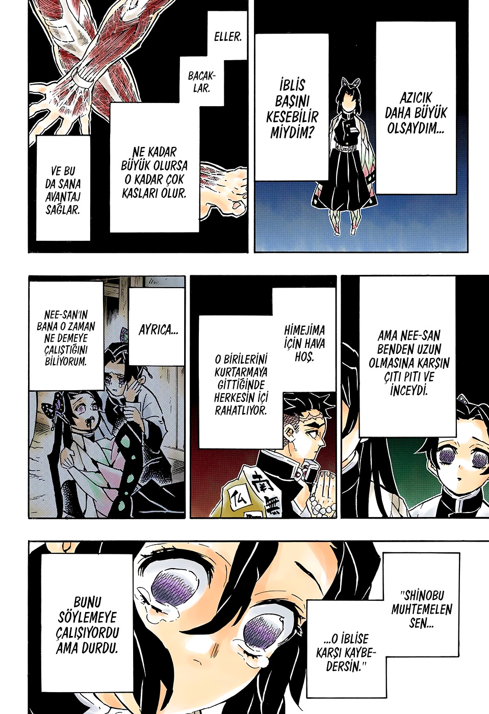 Read Kimetsu no Yaiba TR Manga Online