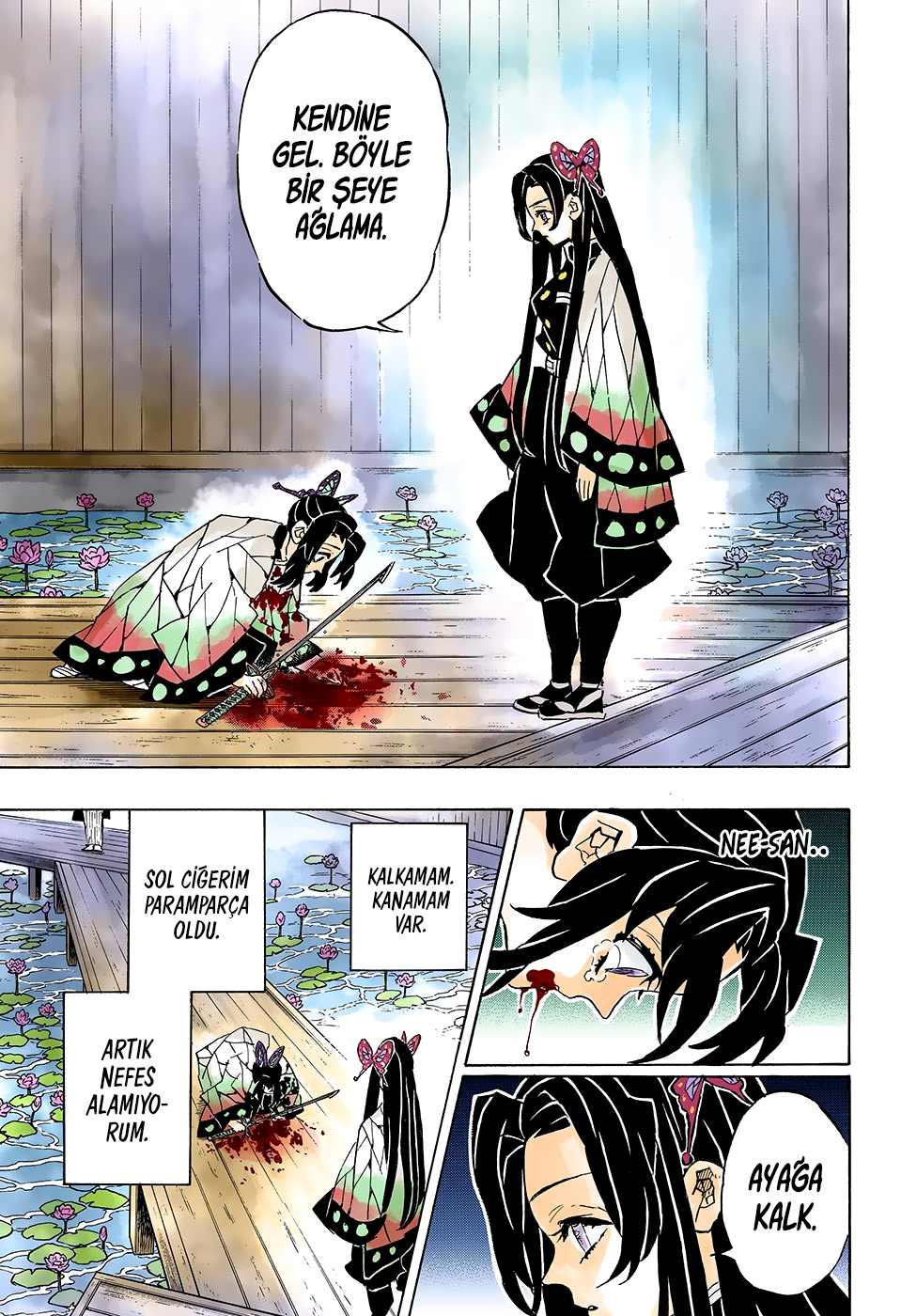 Read Kimetsu no Yaiba TR Manga Online