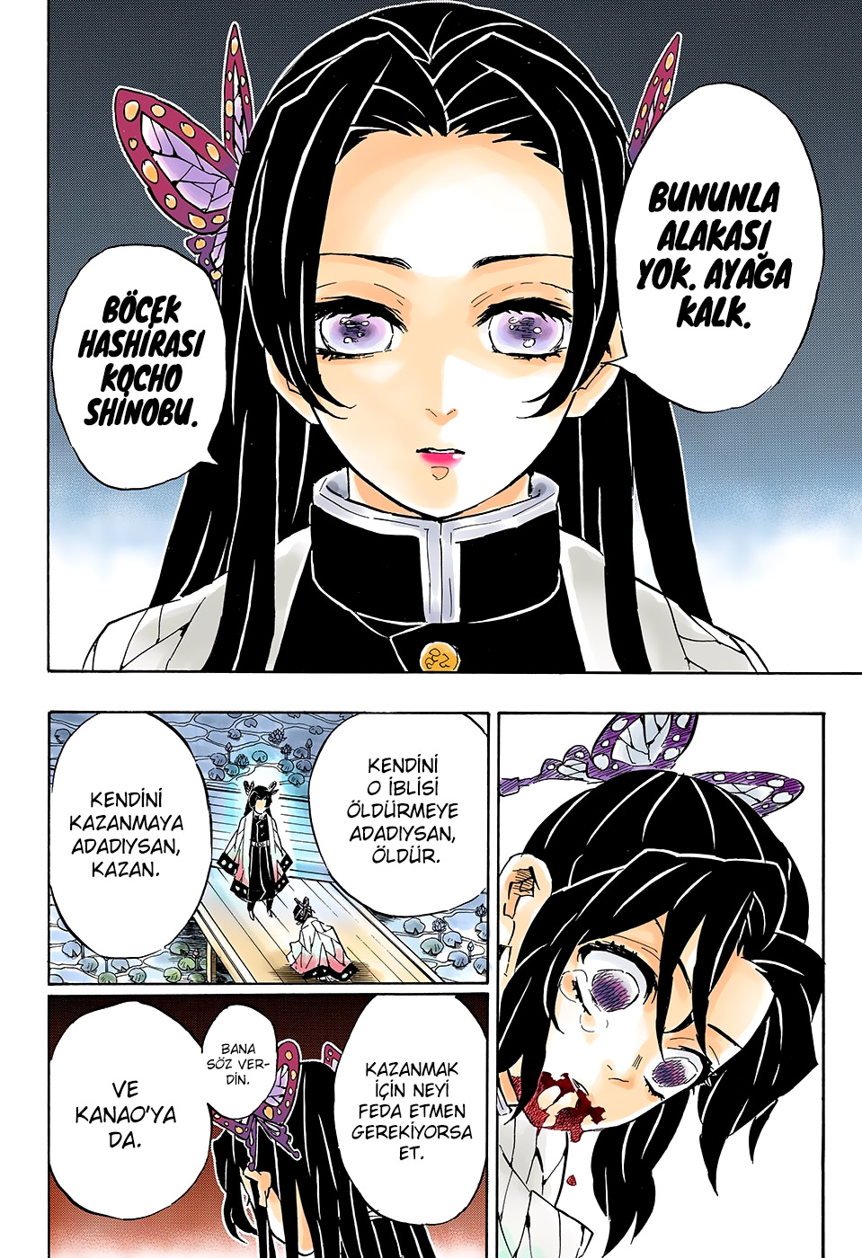 Read Kimetsu no Yaiba TR Manga Online