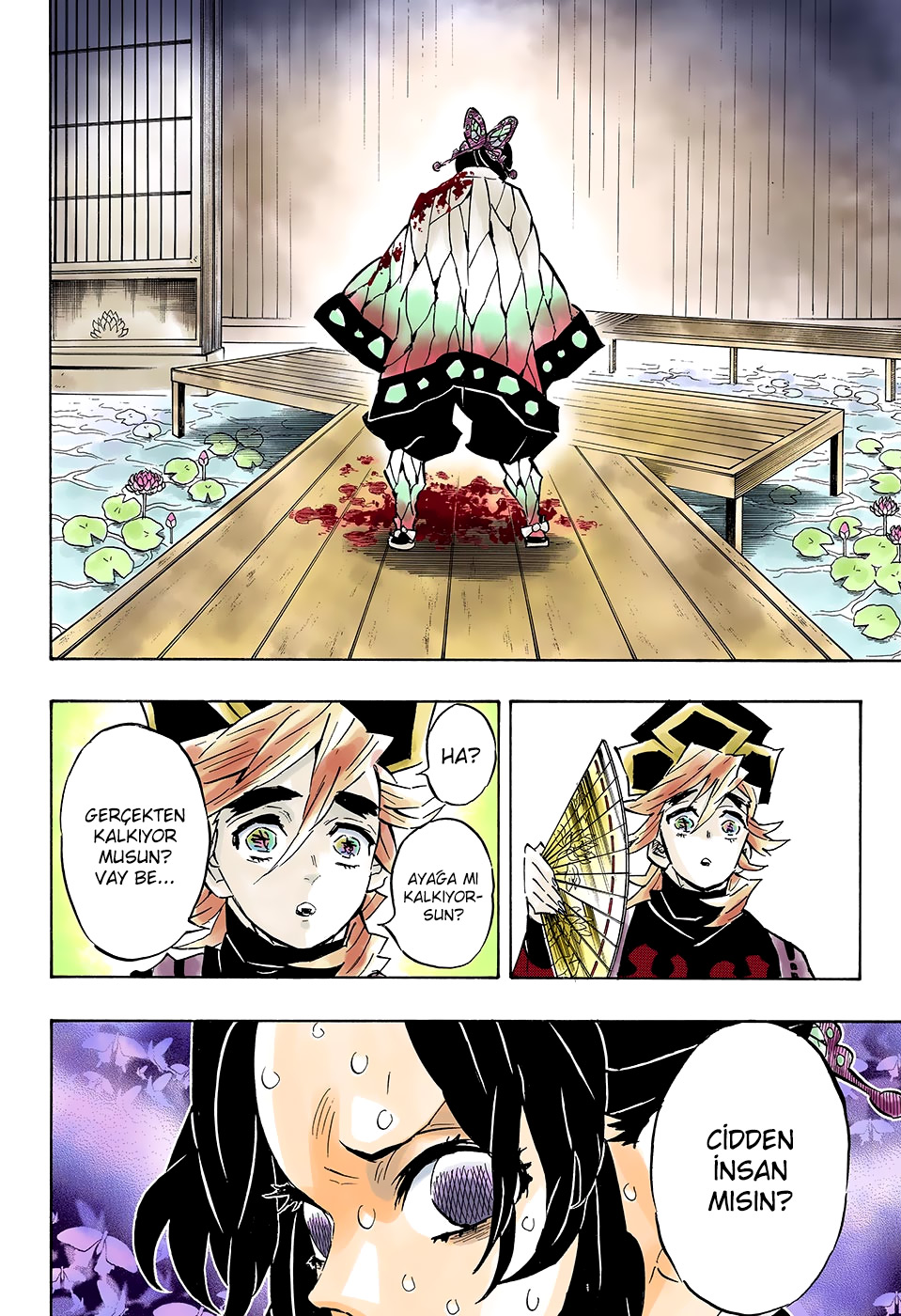 Read Kimetsu no Yaiba TR Manga Online