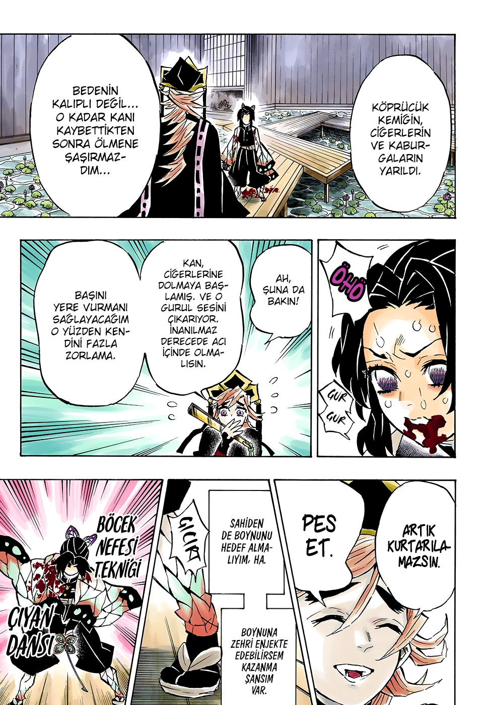 Read Kimetsu no Yaiba TR Manga Online