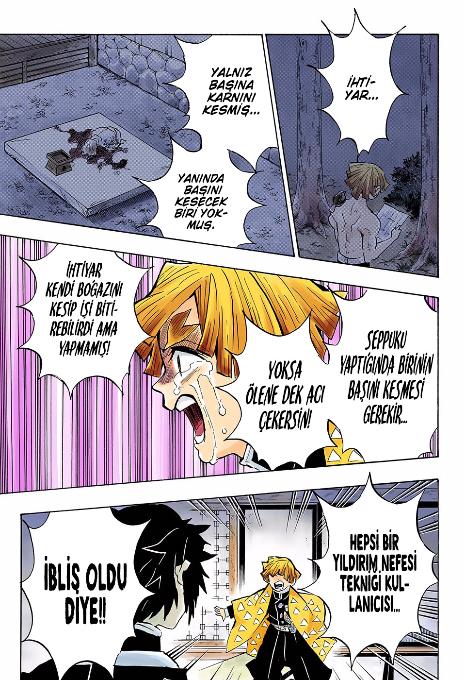 Read Kimetsu no Yaiba TR Manga Online