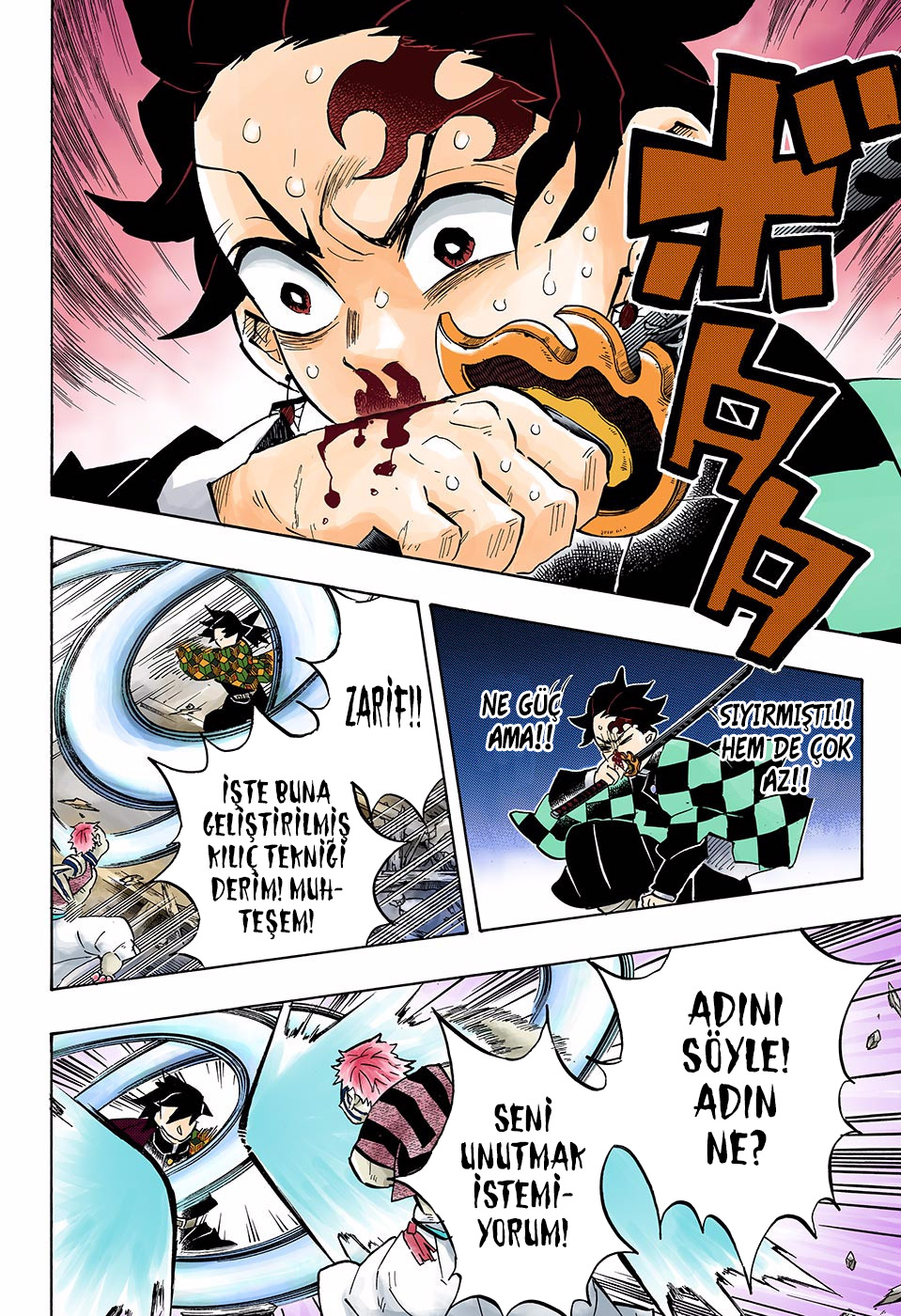 Read Kimetsu no Yaiba TR Manga Online