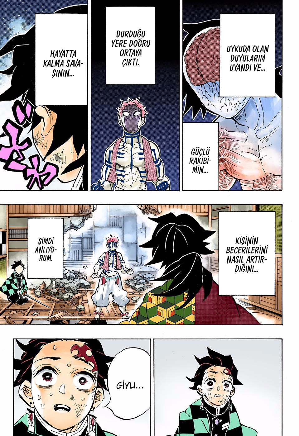 Read Kimetsu no Yaiba TR Manga Online