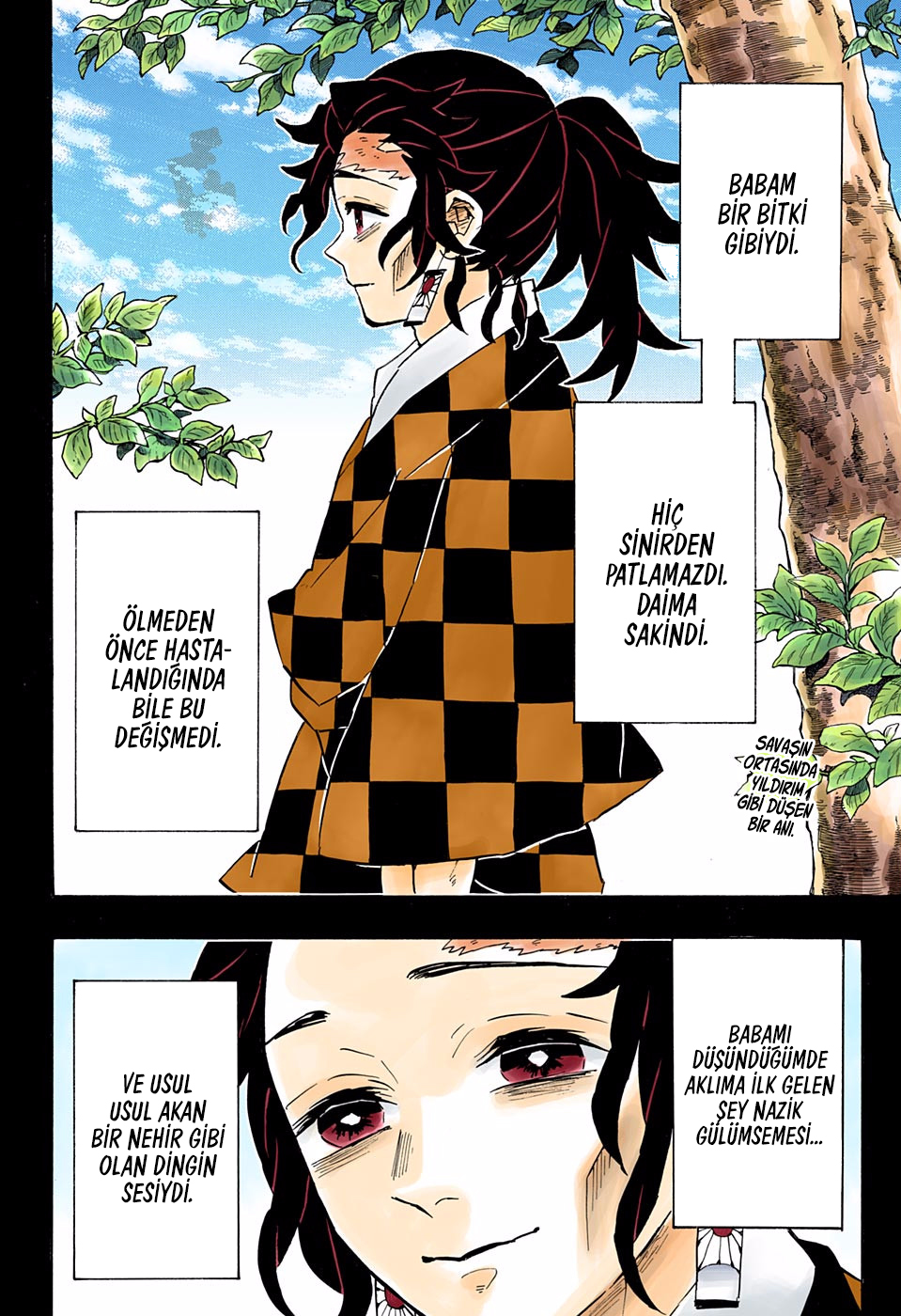 Read Kimetsu no Yaiba TR Manga Online