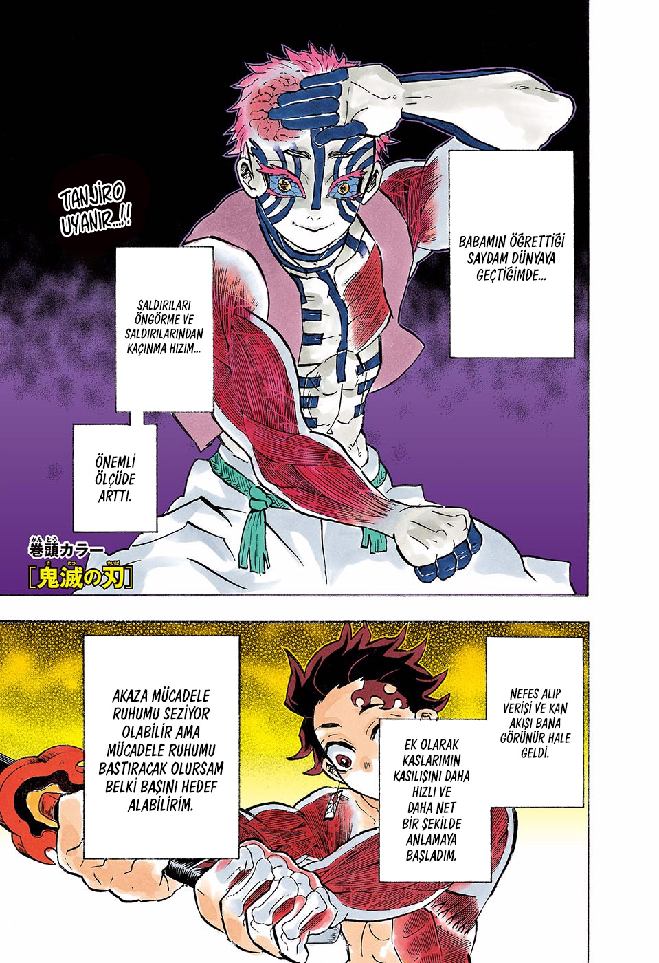 Read Kimetsu no Yaiba TR Manga Online