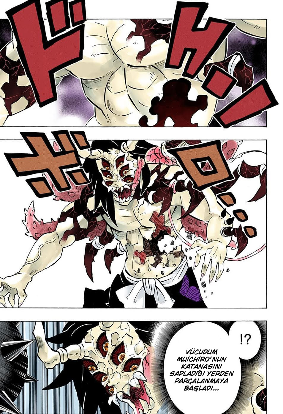 Read Kimetsu no Yaiba TR Manga Online