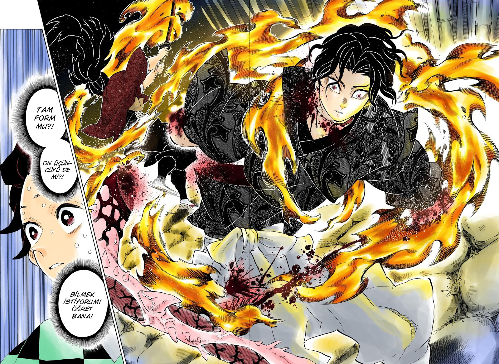 Read Kimetsu no Yaiba TR Manga Online