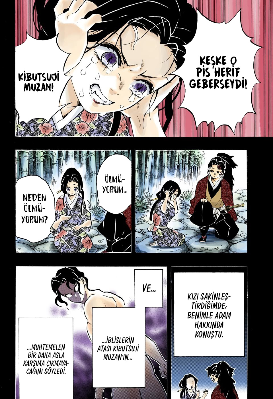 Read Kimetsu no Yaiba TR Manga Online