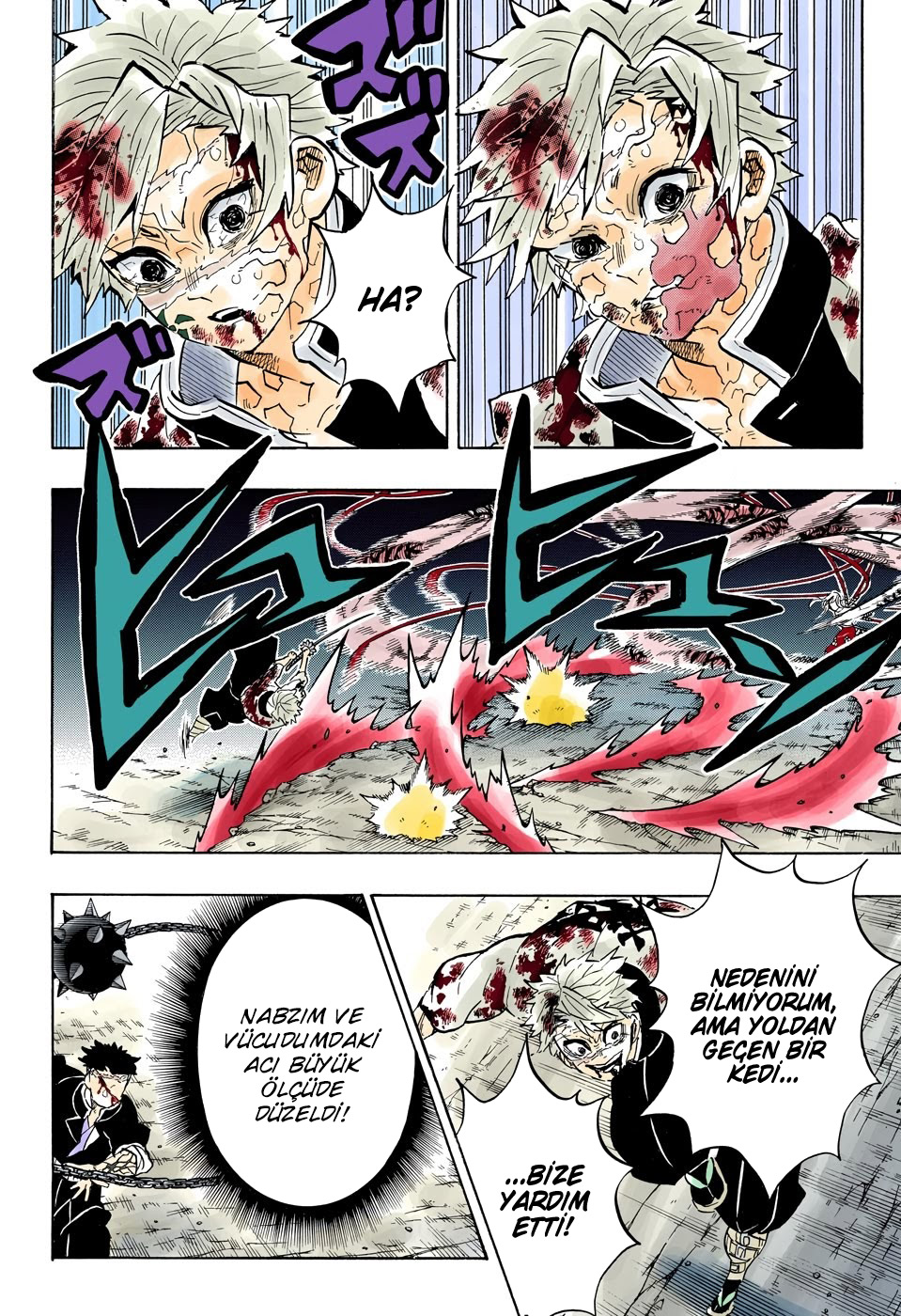 Read Kimetsu no Yaiba TR Manga Online