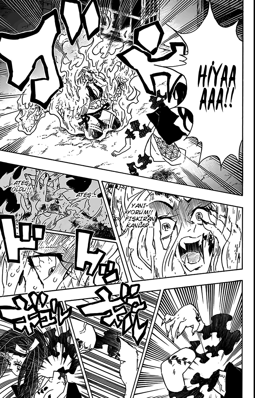 Read Kimetsu no Yaiba TR Manga Online