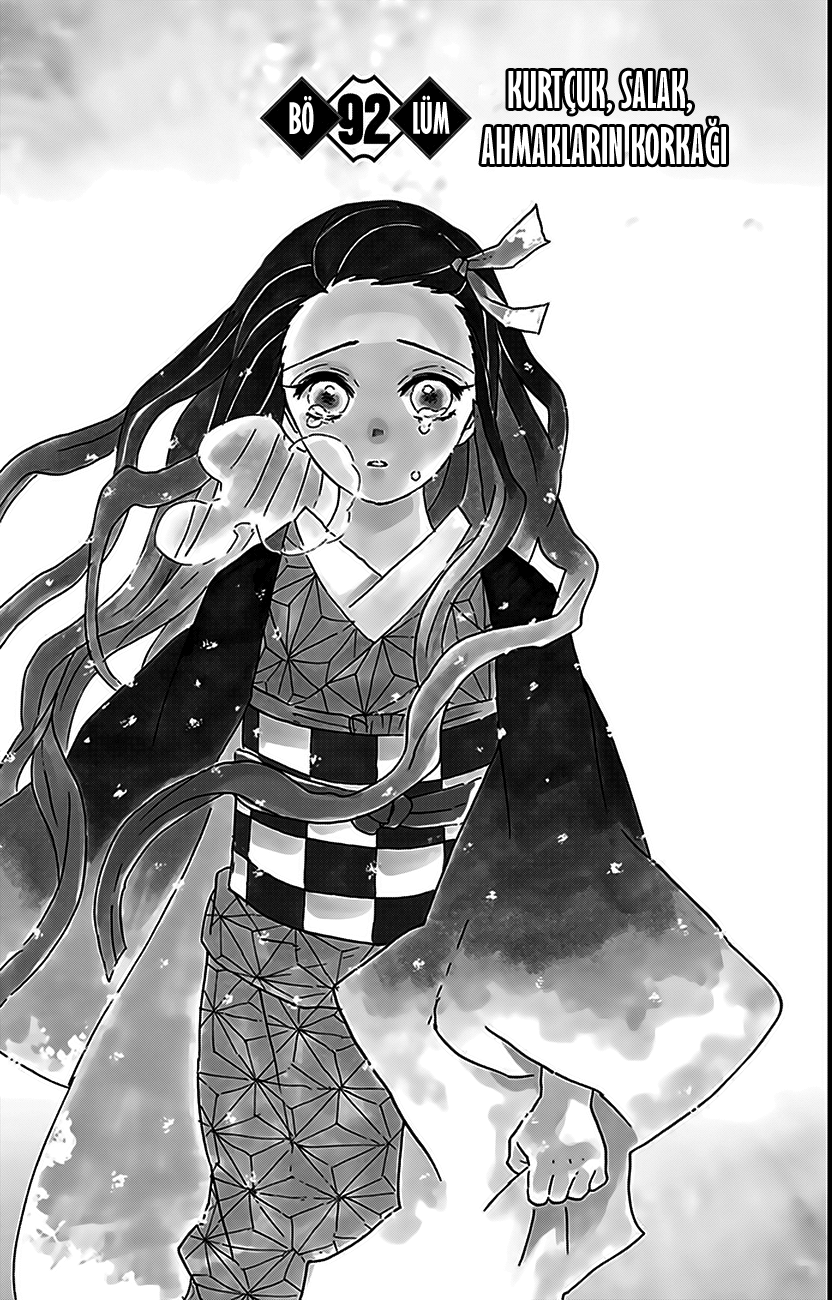 Read Kimetsu no Yaiba TR Manga Online
