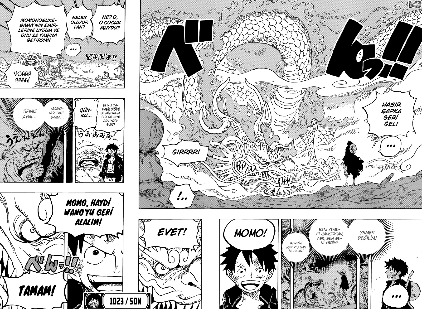 Read One Piece TR Manga Online