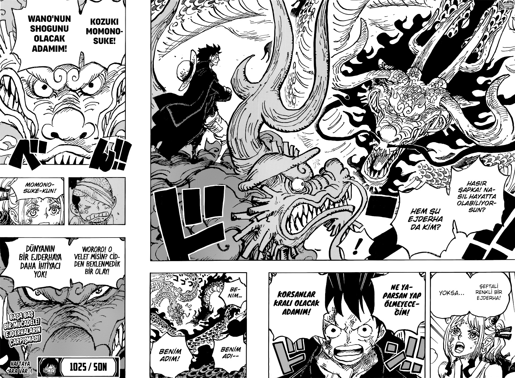 Read One Piece TR Manga Online