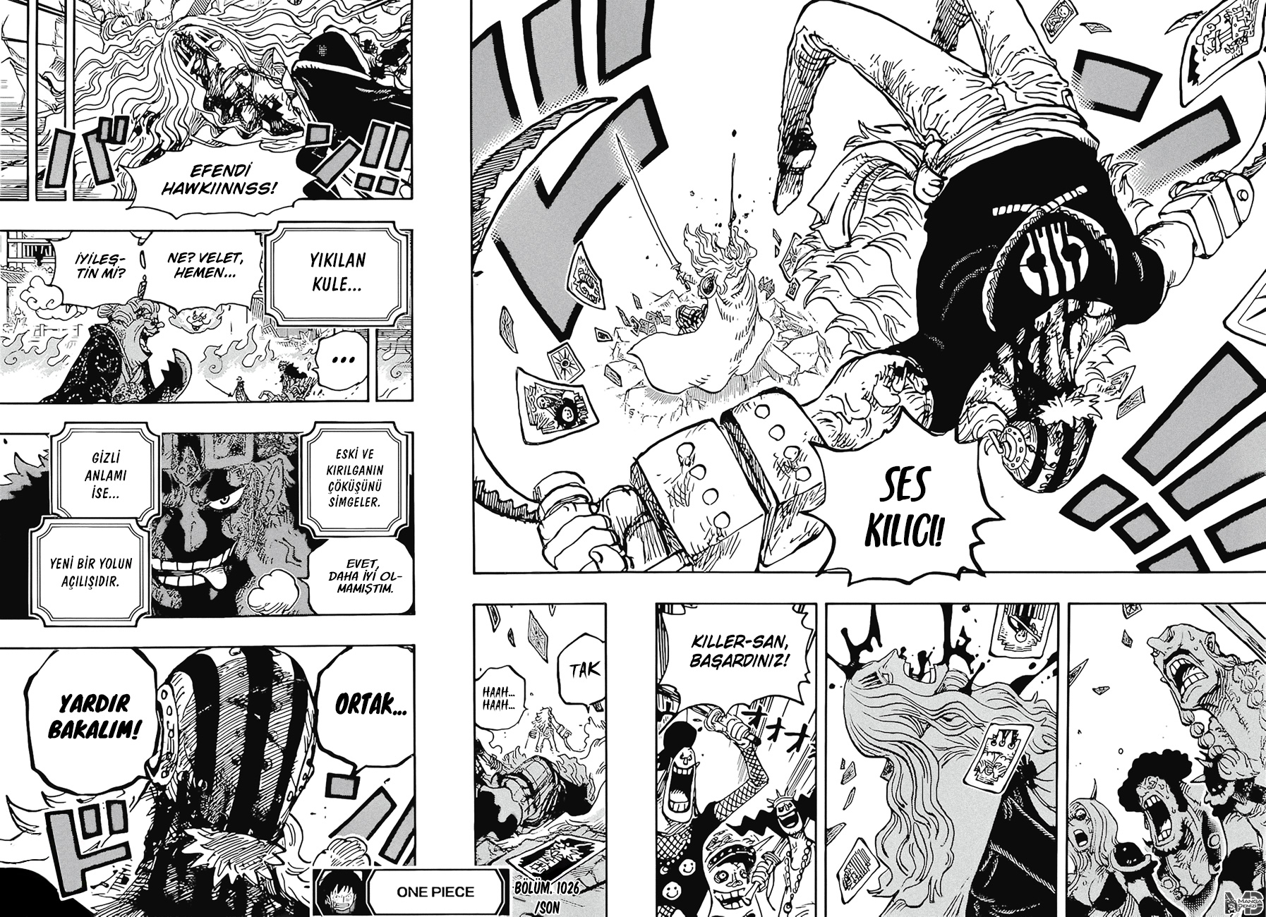 Read One Piece TR Manga Online
