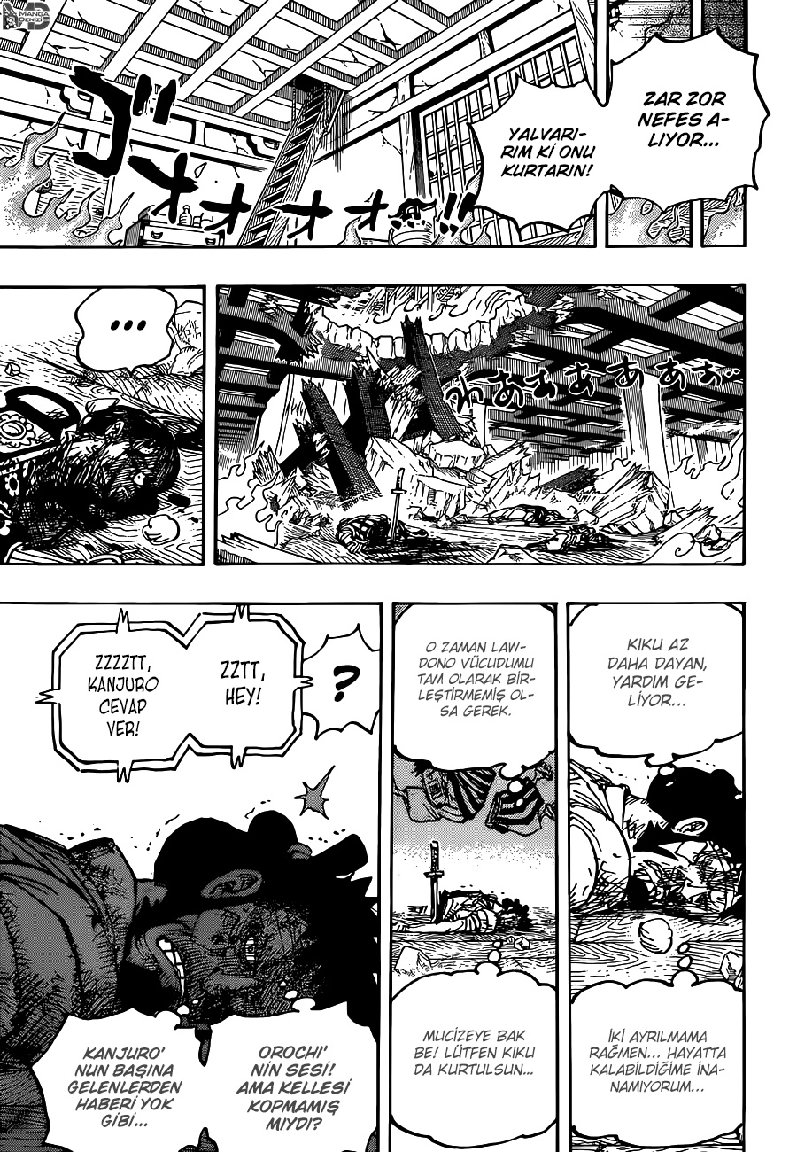 Read One Piece TR Manga Online