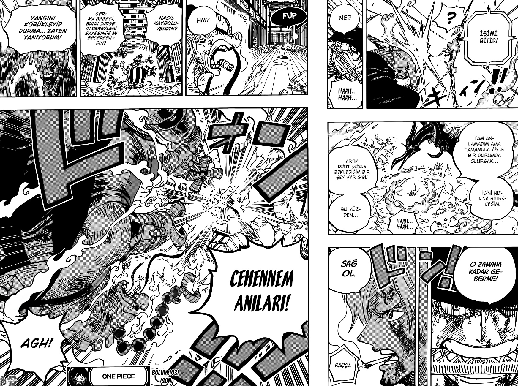 Read One Piece TR Manga Online