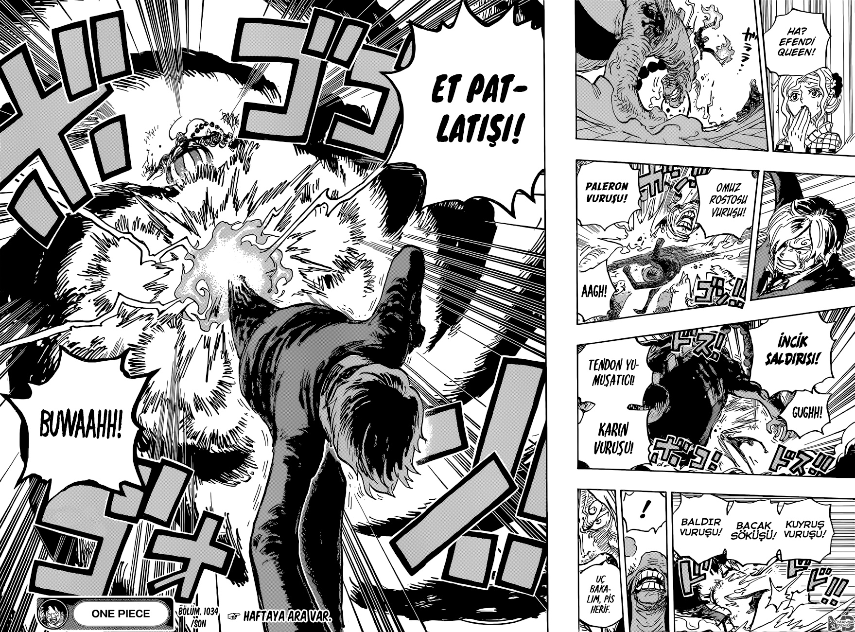 Read One Piece TR Manga Online