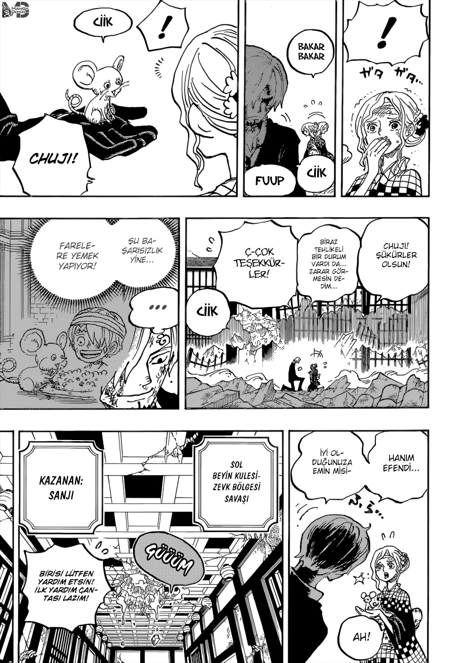 Read One Piece TR Manga Online
