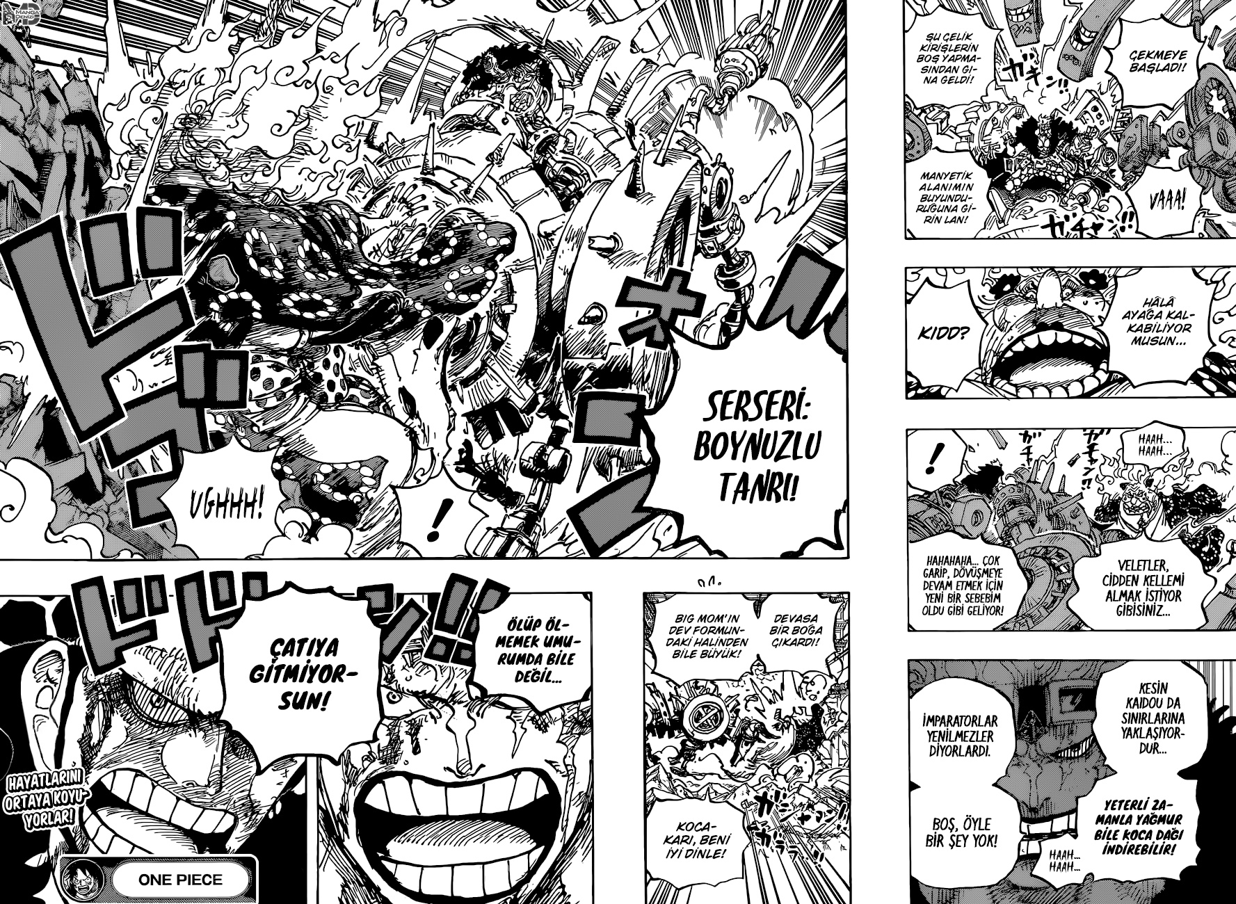 Read One Piece TR Manga Online
