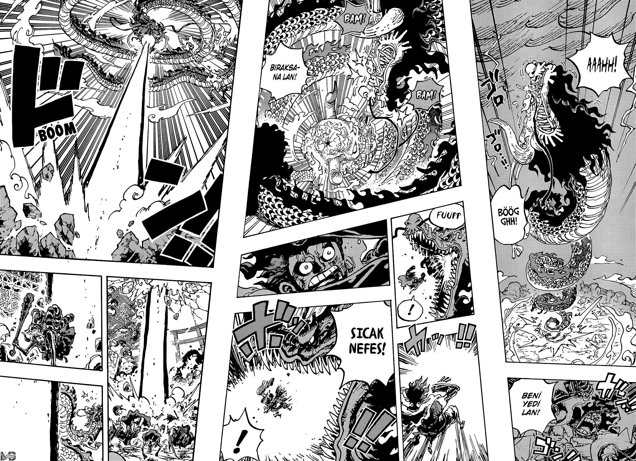 Read One Piece TR Manga Online