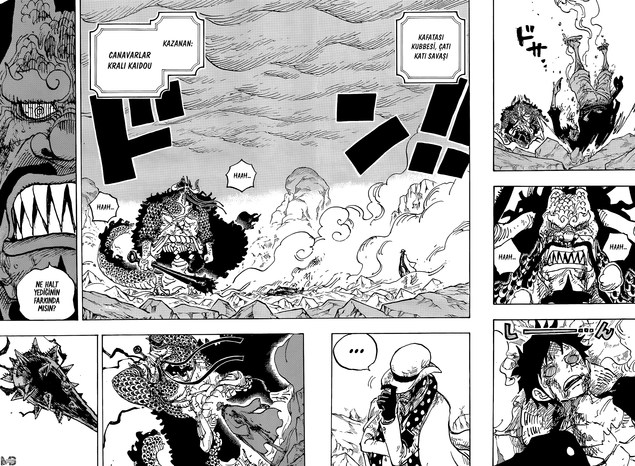 Read One Piece TR Manga Online