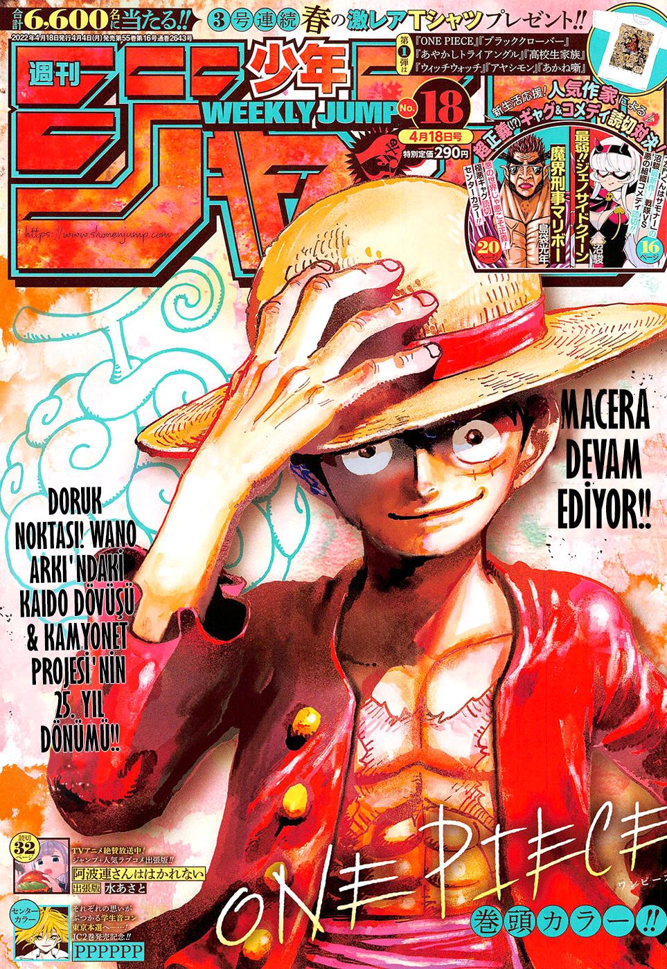 Read One Piece TR Manga Online