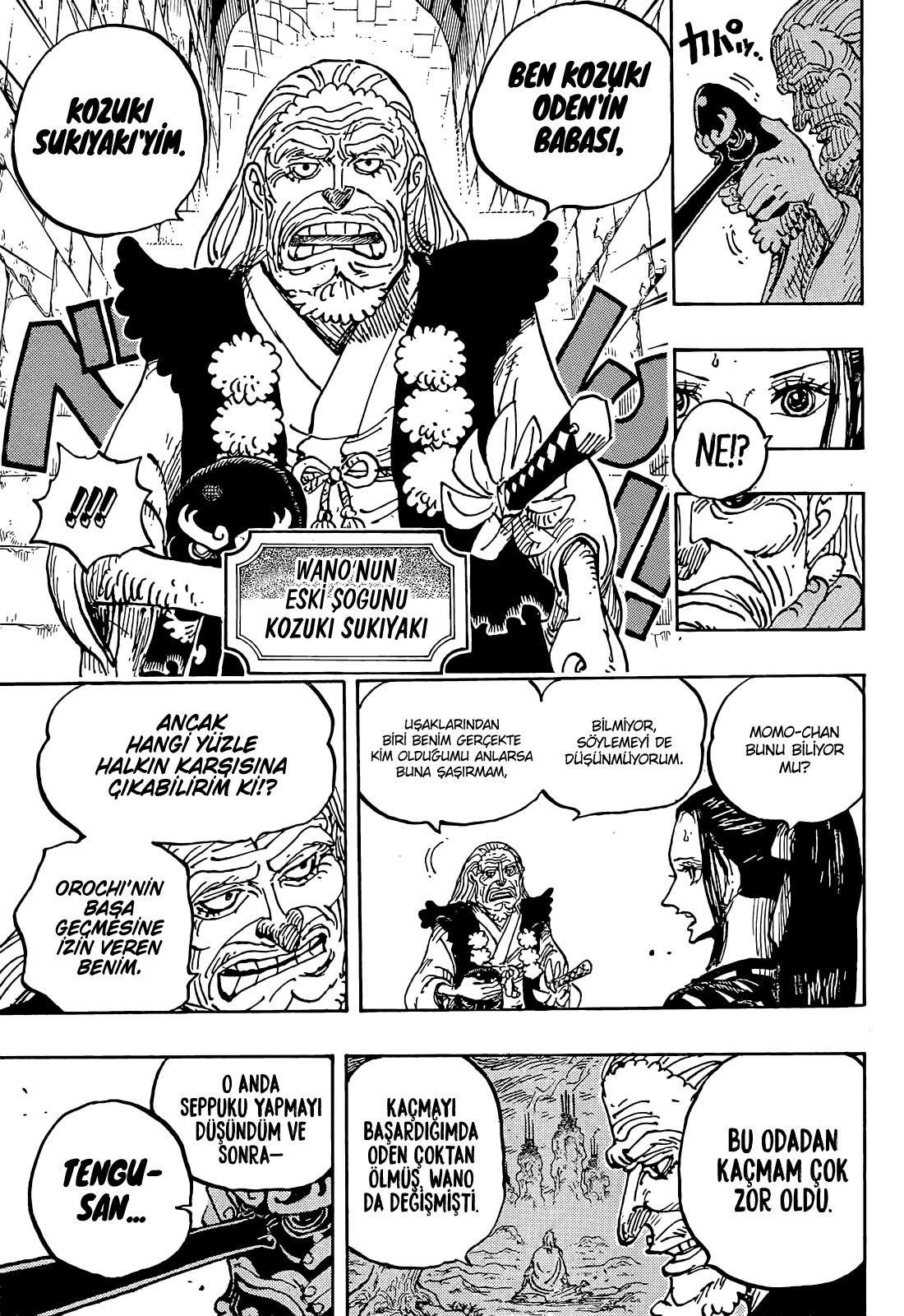 Read One Piece TR Manga Online