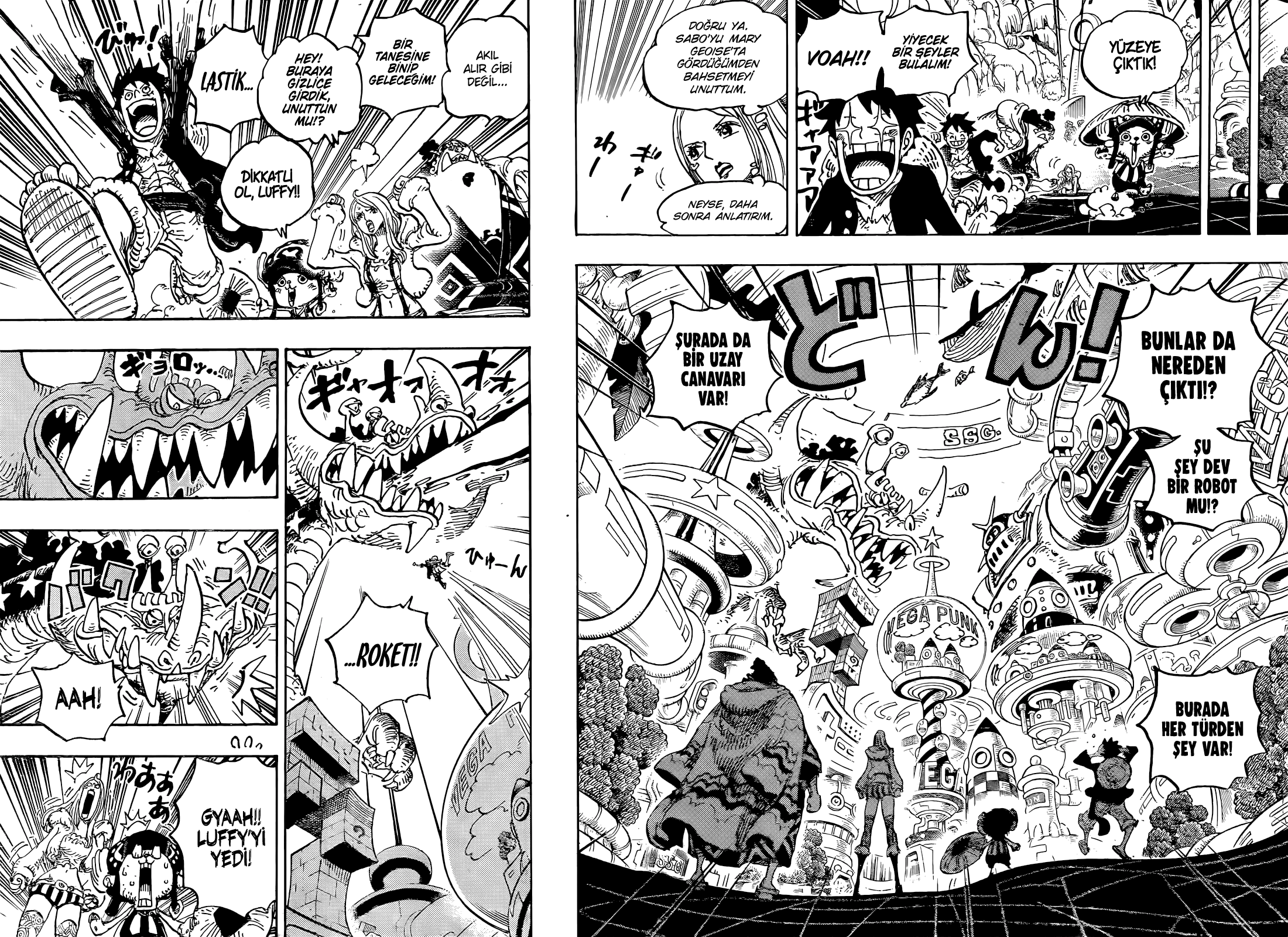 Read One Piece TR Manga Online
