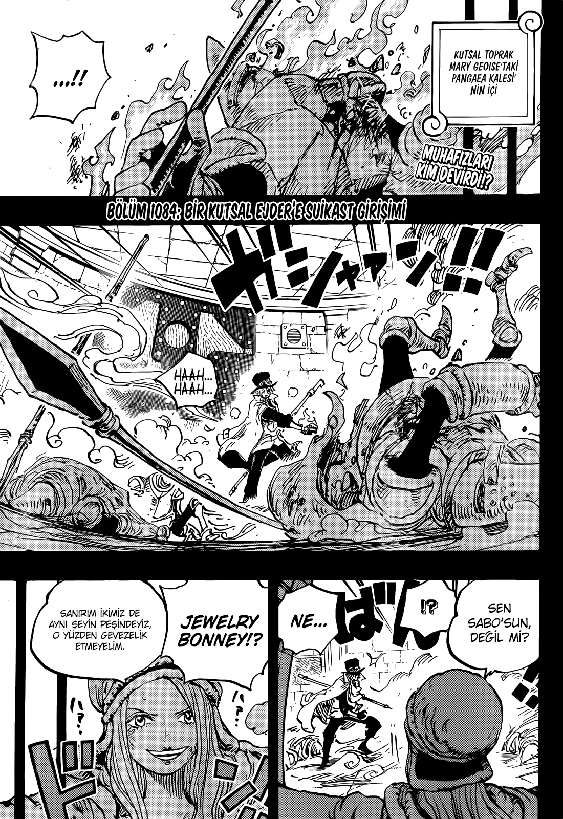 Read One Piece TR Manga Online