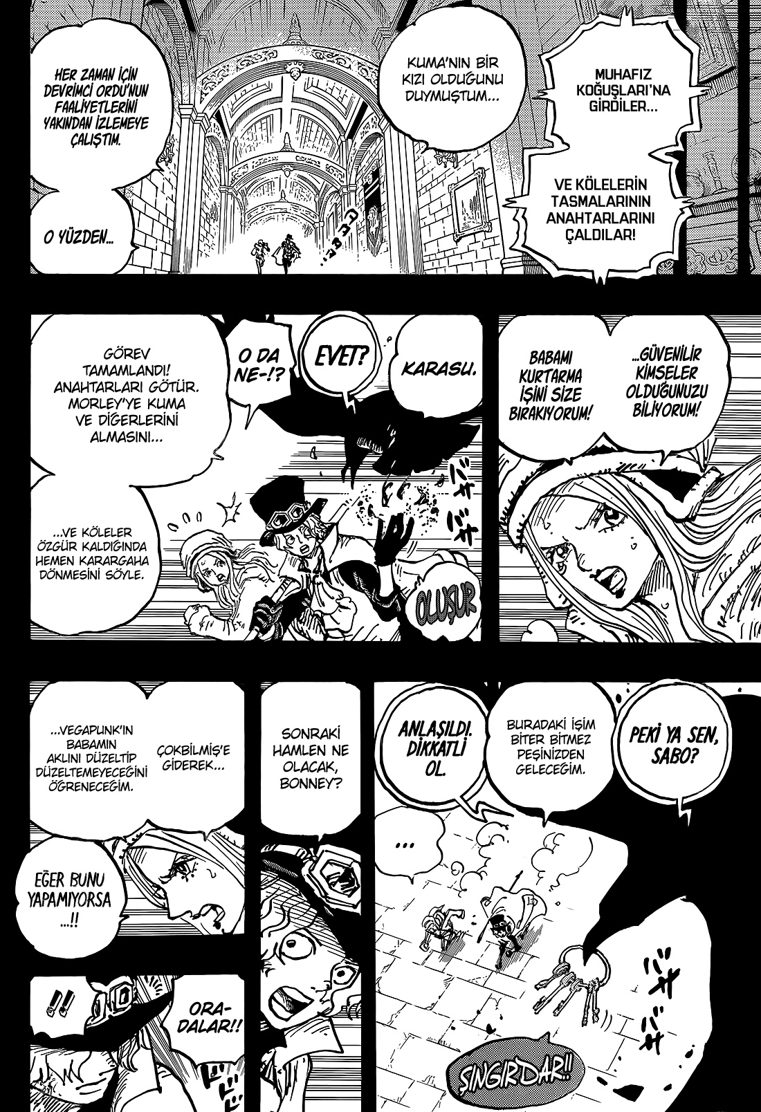 Read One Piece TR Manga Online