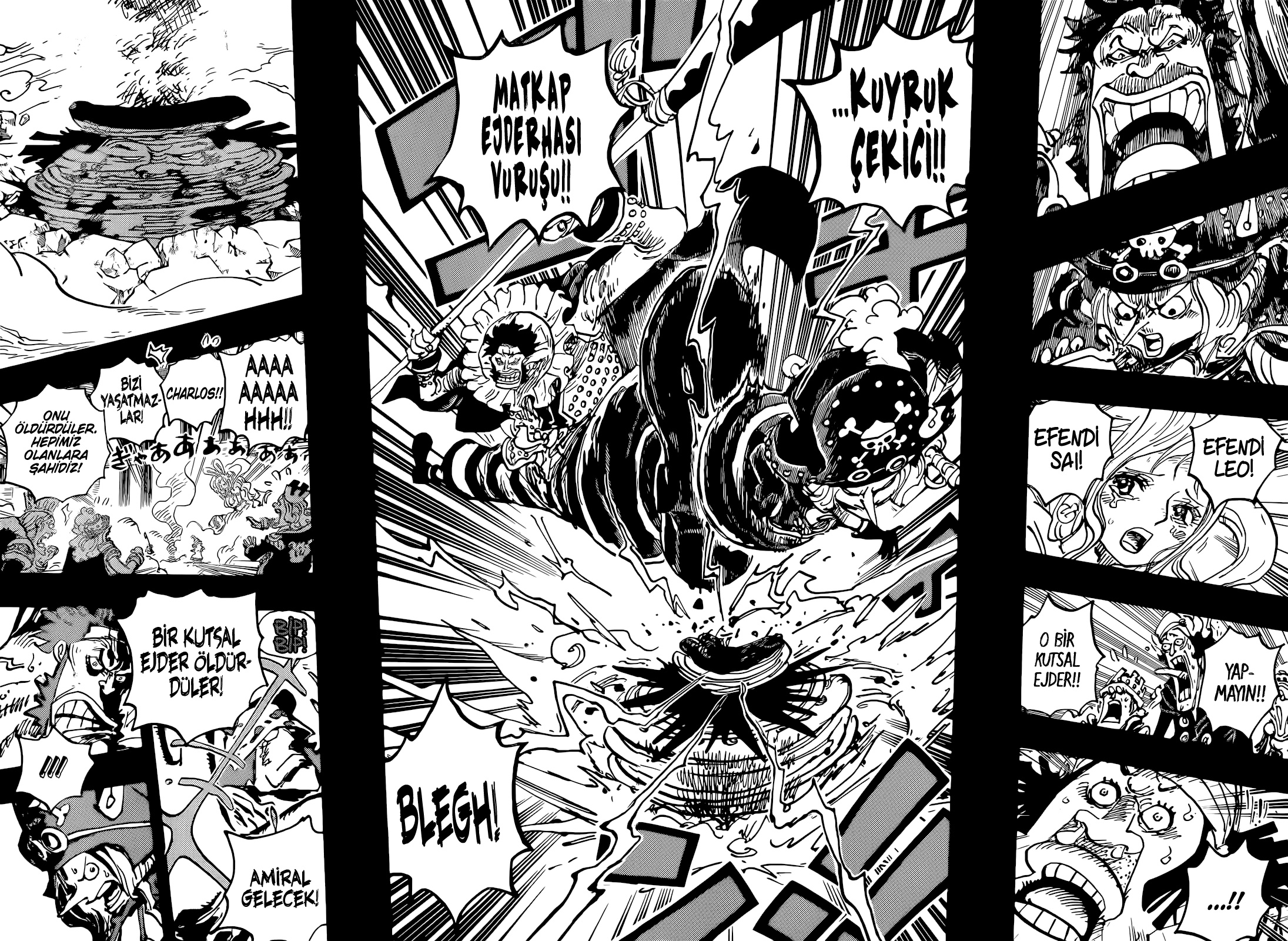 Read One Piece TR Manga Online