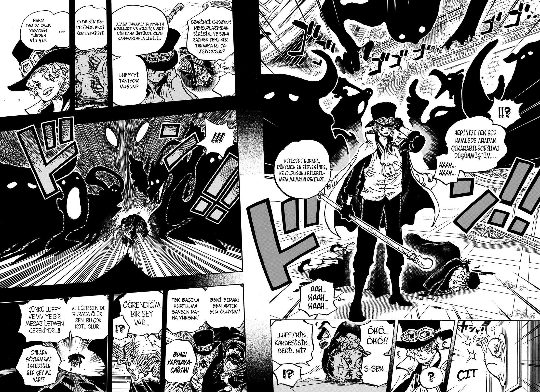 Read One Piece TR Manga Online