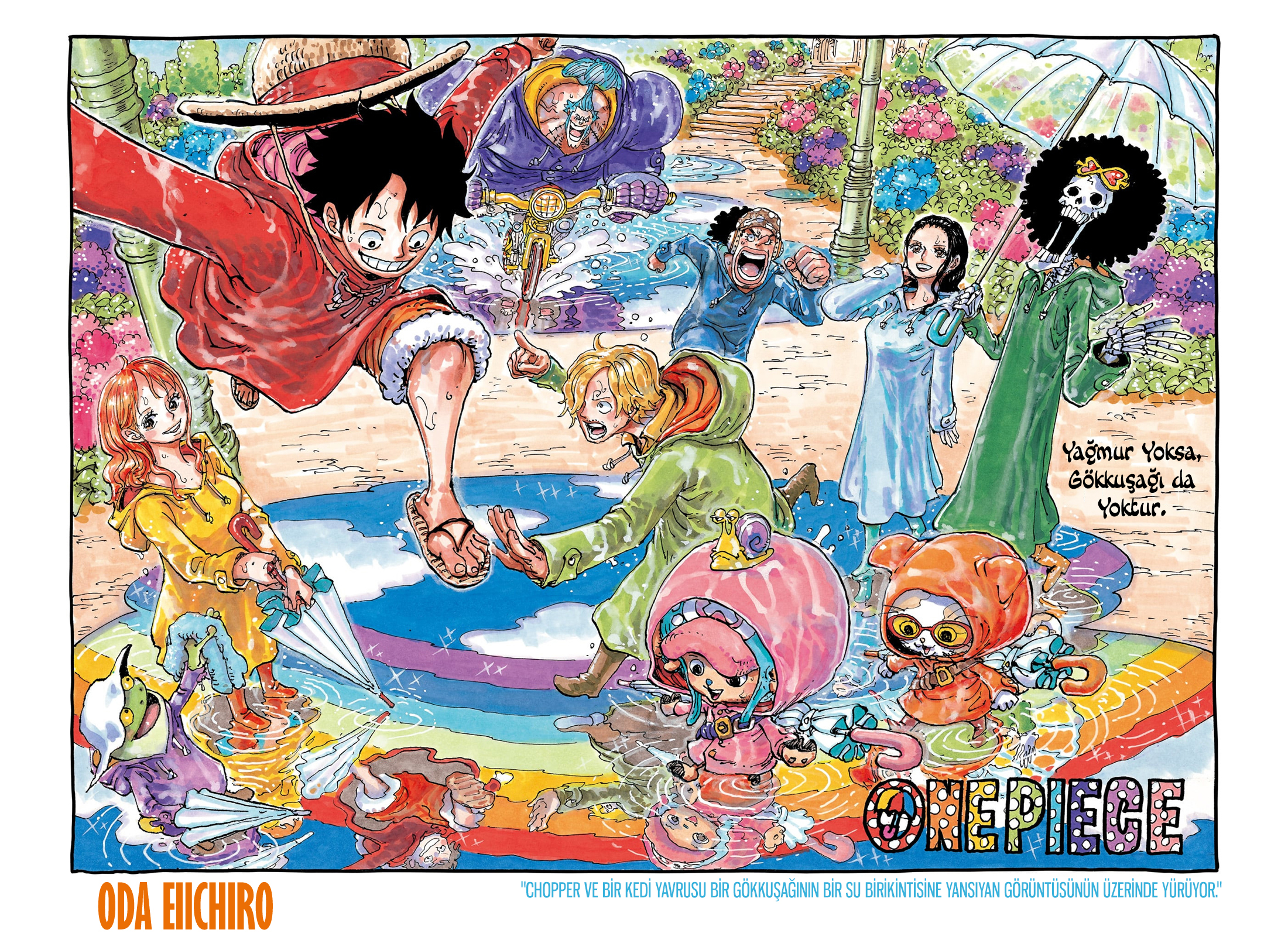 Read One Piece TR Manga Online