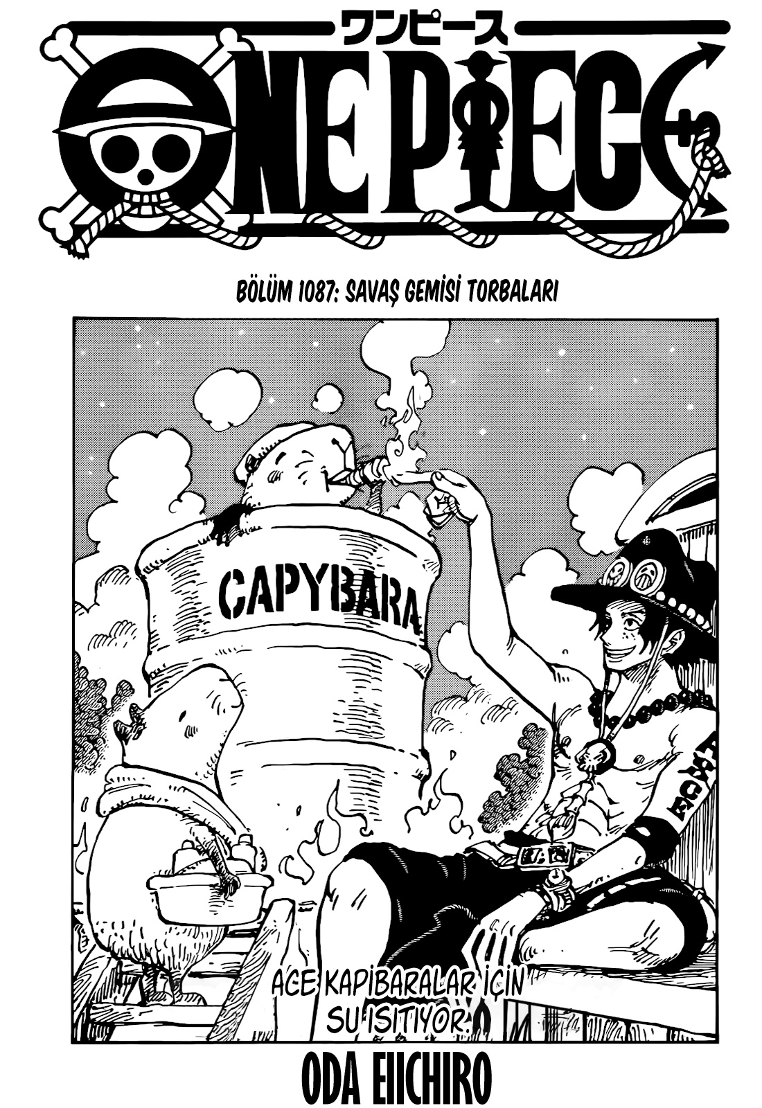 Read One Piece TR Manga Online