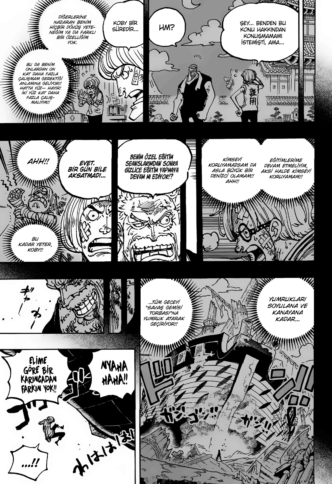 Read One Piece TR Manga Online