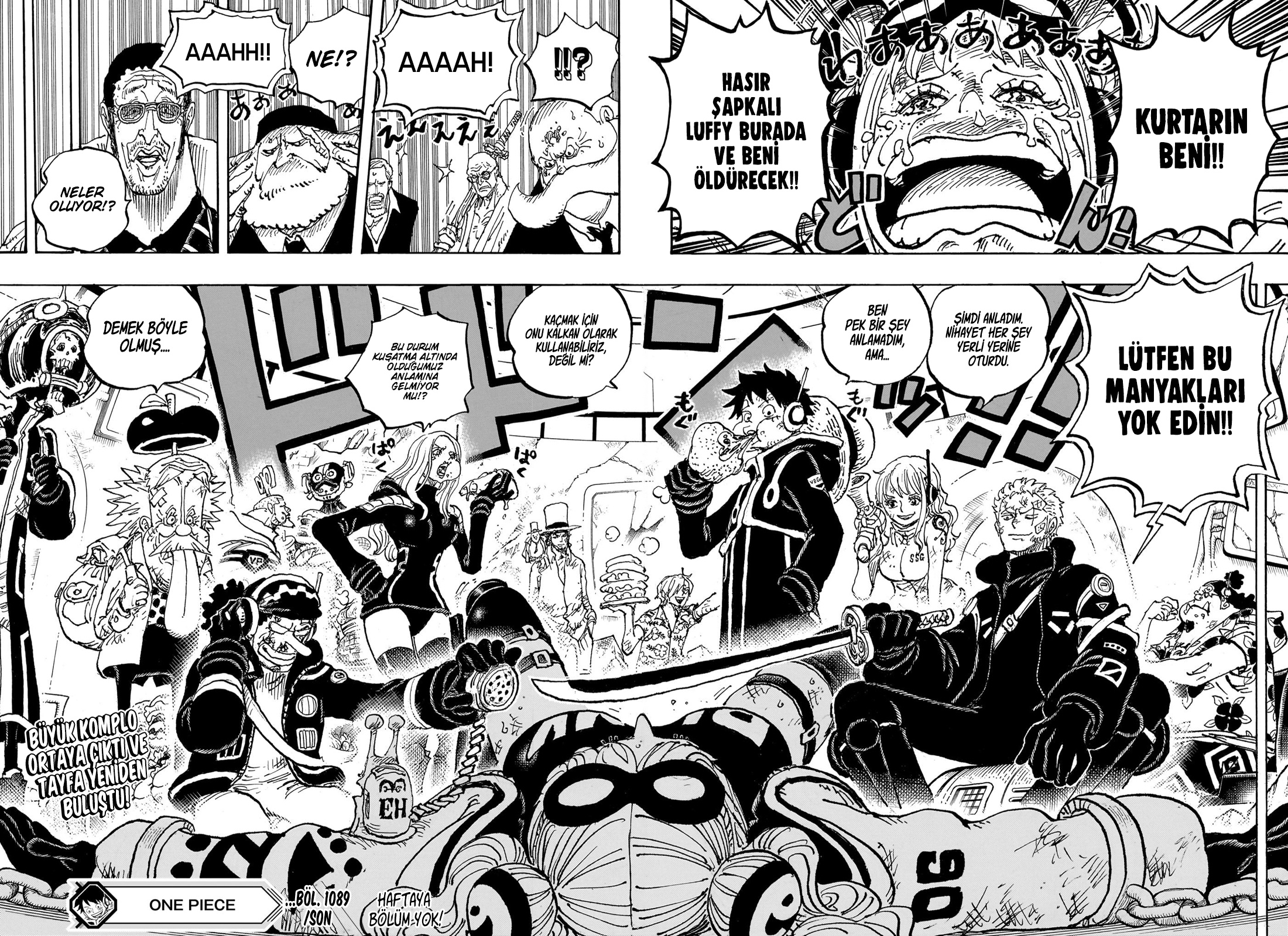 Read One Piece TR Manga Online