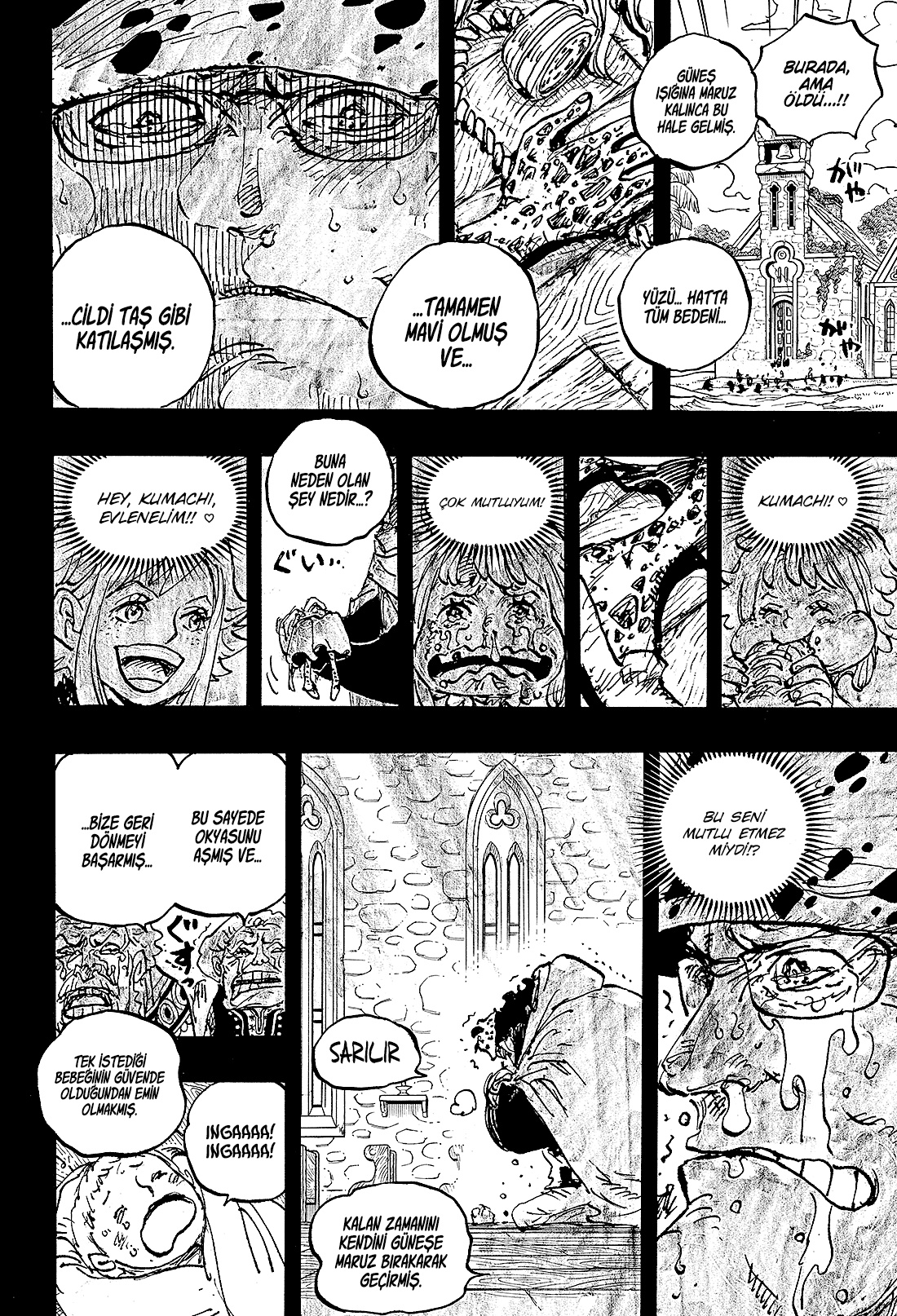 Read One Piece TR Manga Online